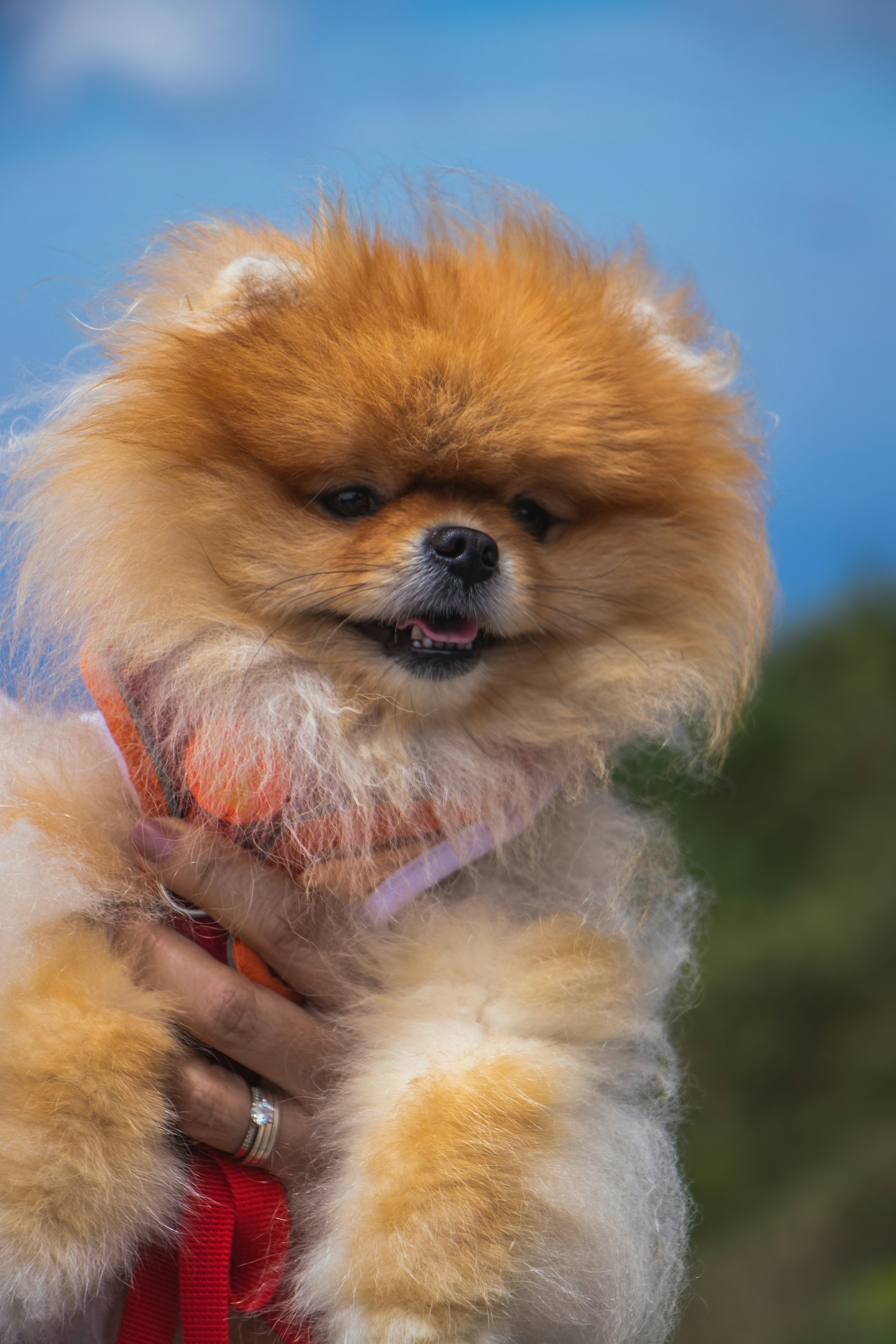 Photo by theguilhermeramos