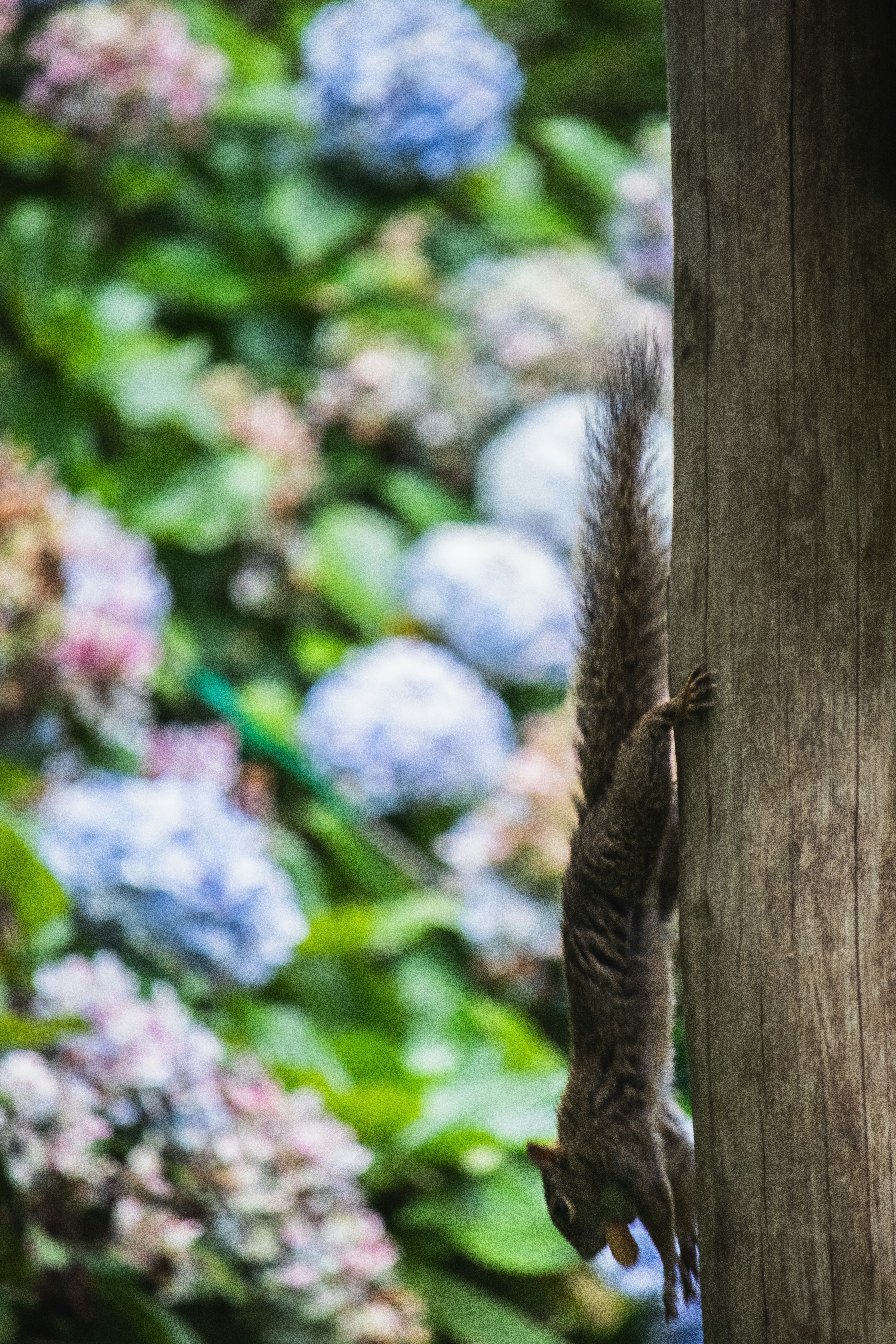 Photo by theguilhermeramos