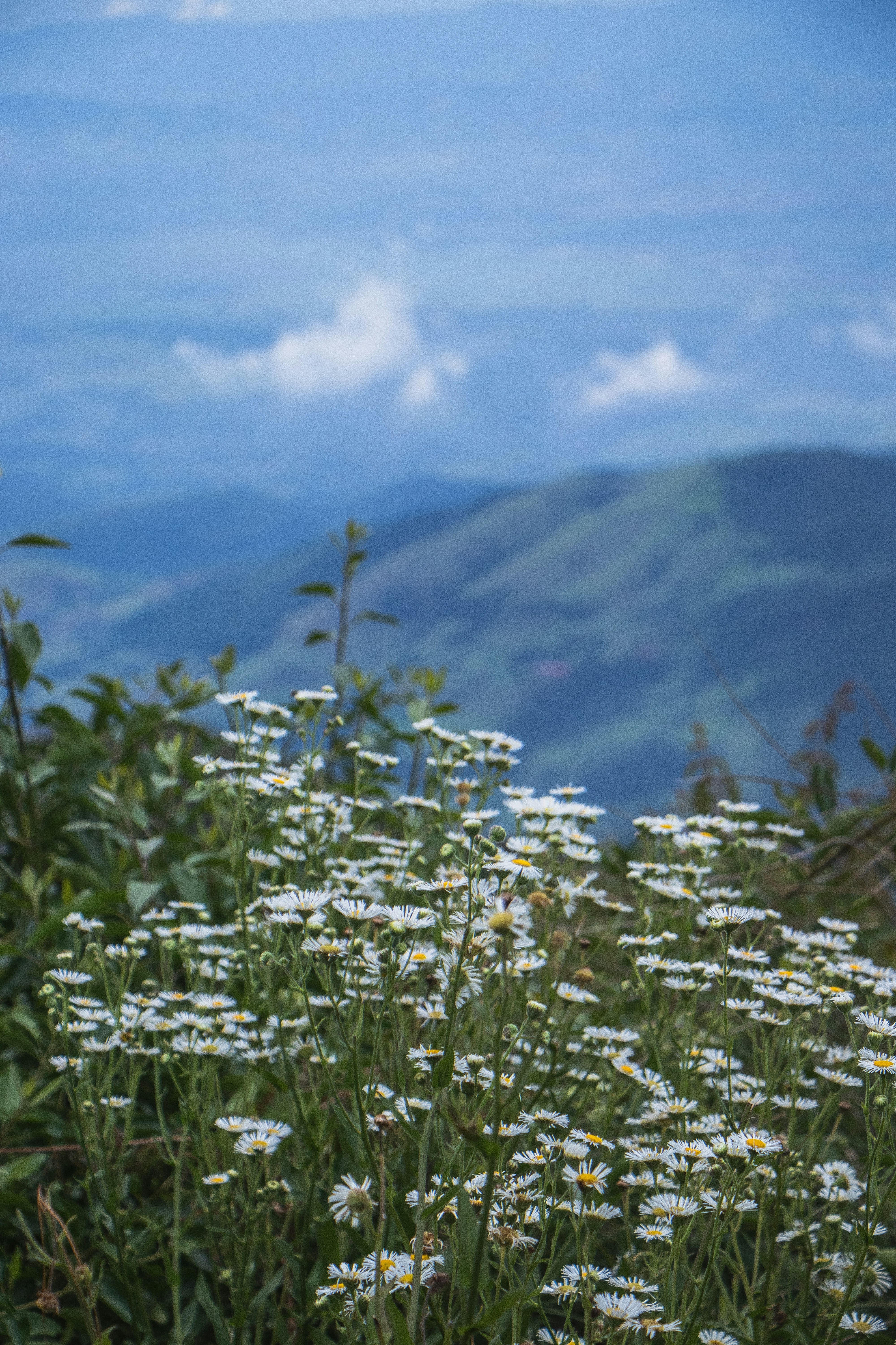 Photo by theguilhermeramos