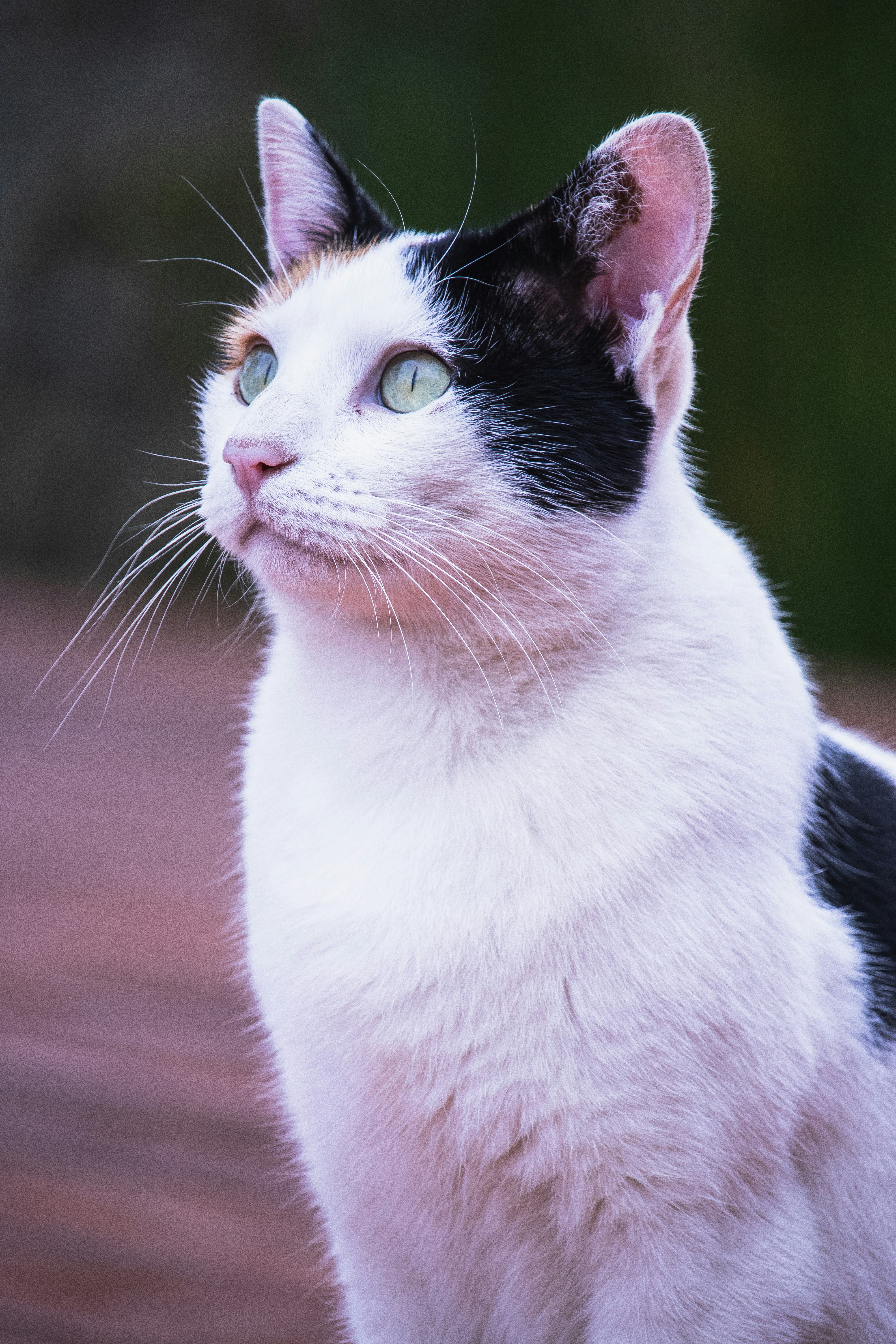 Photo by theguilhermeramos