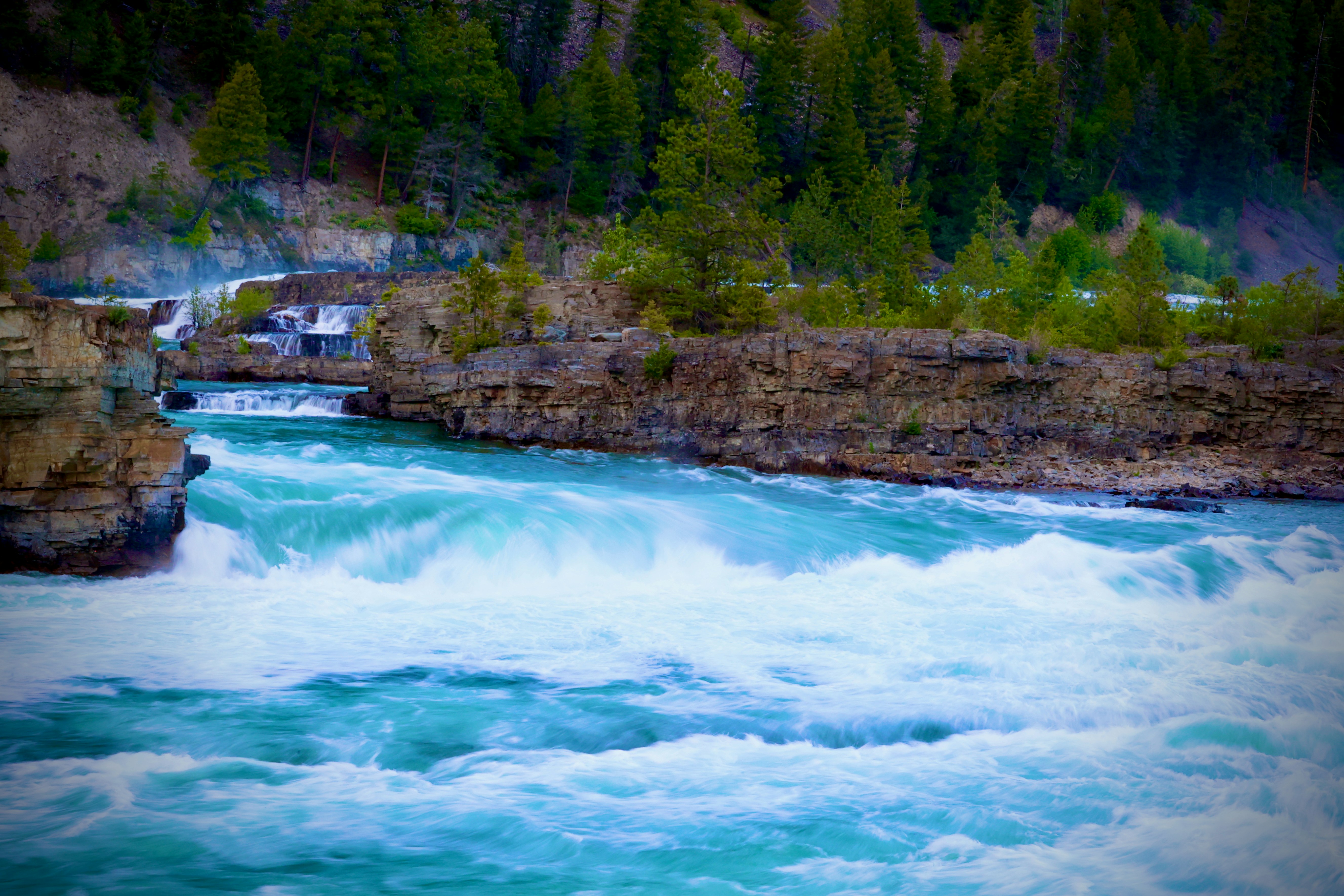 Photo by city2forest