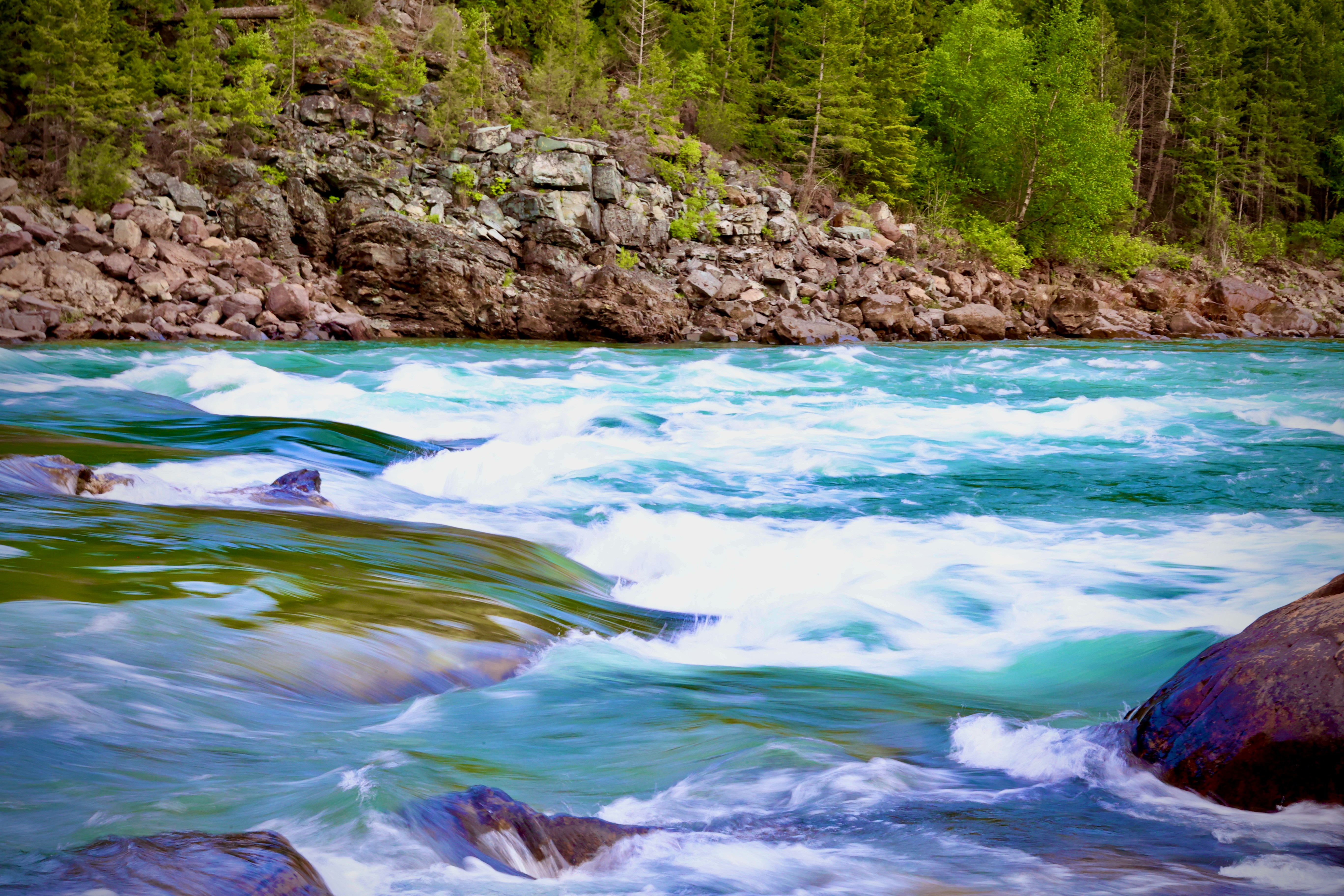 Photo by city2forest