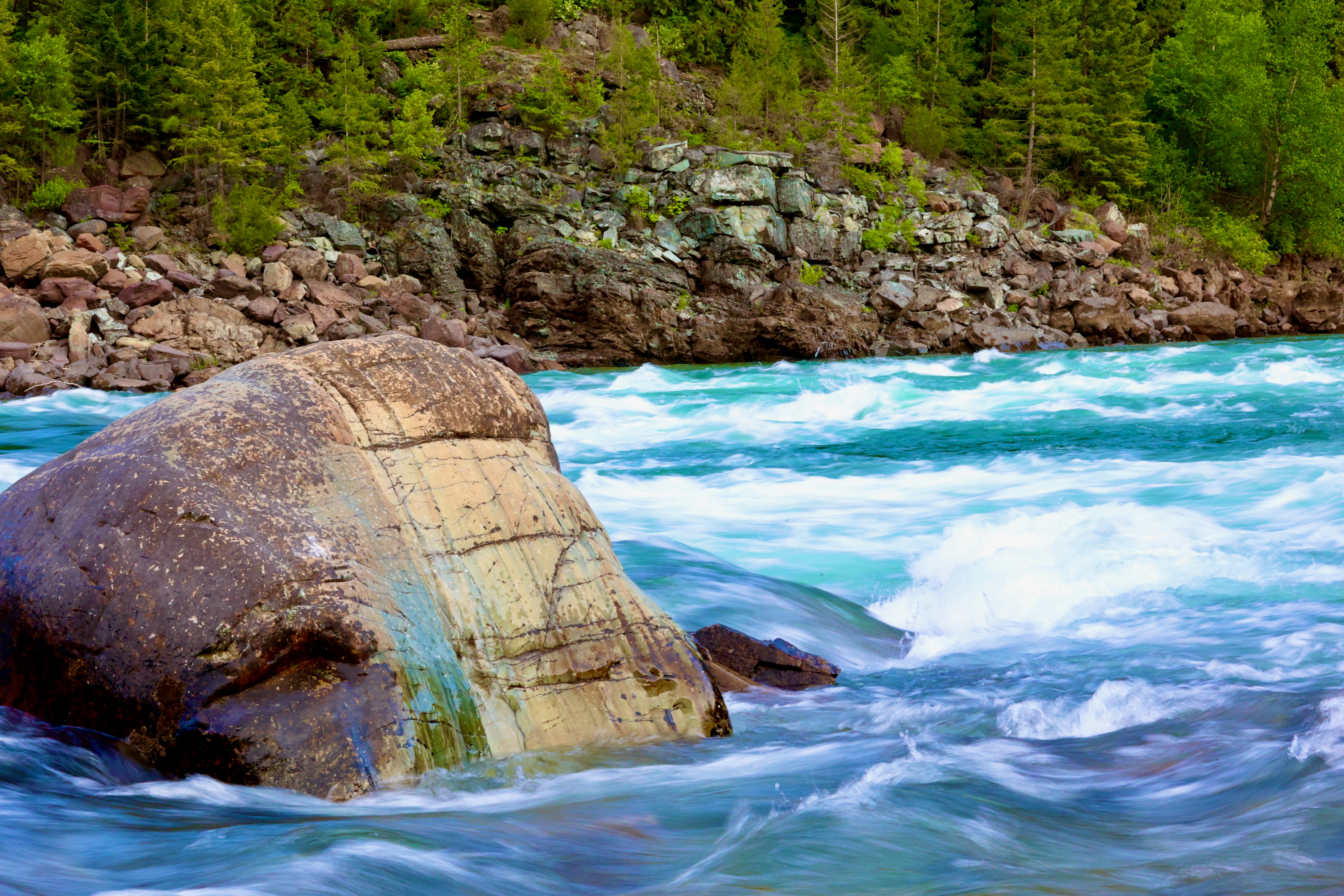 Photo by city2forest