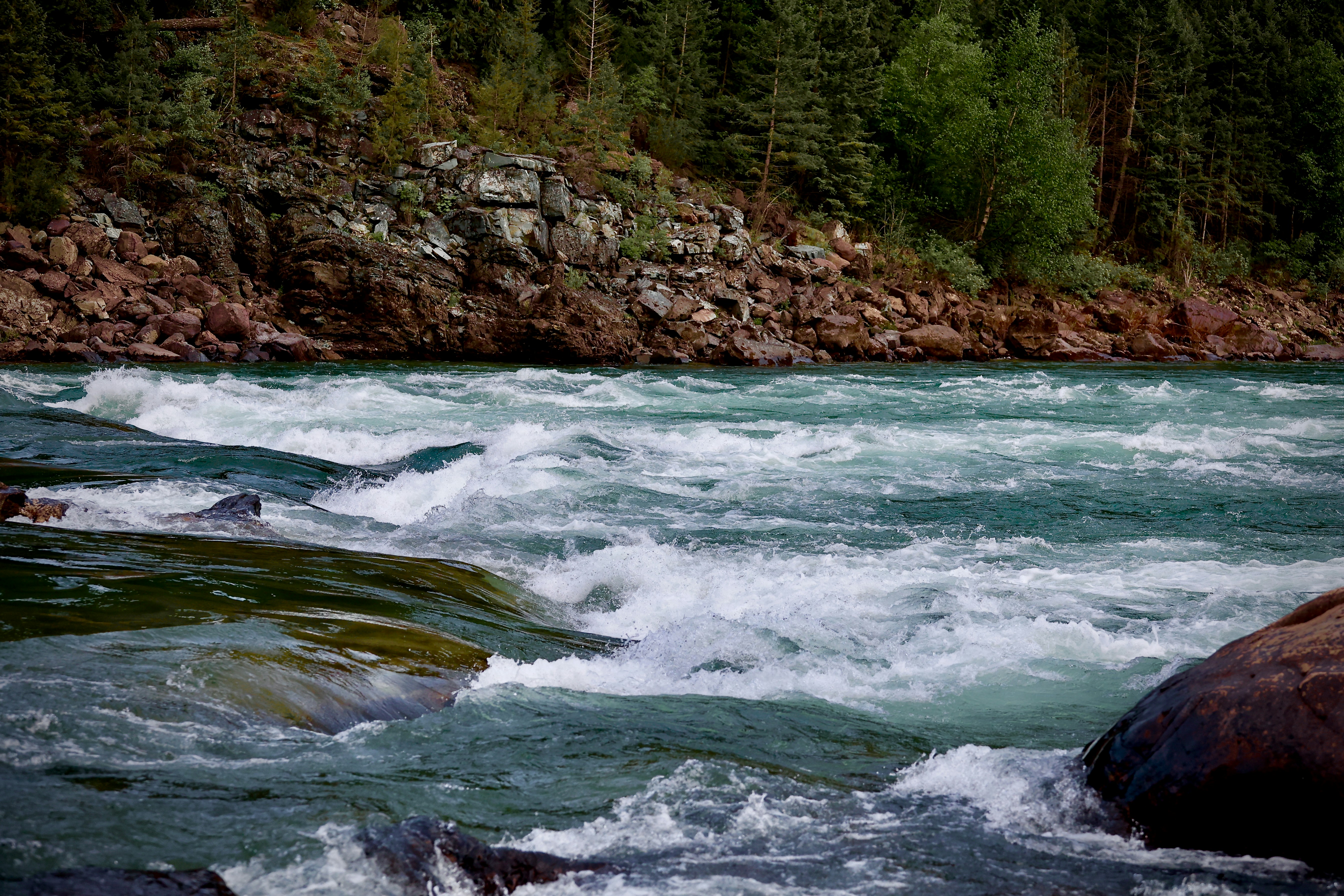 Photo by city2forest