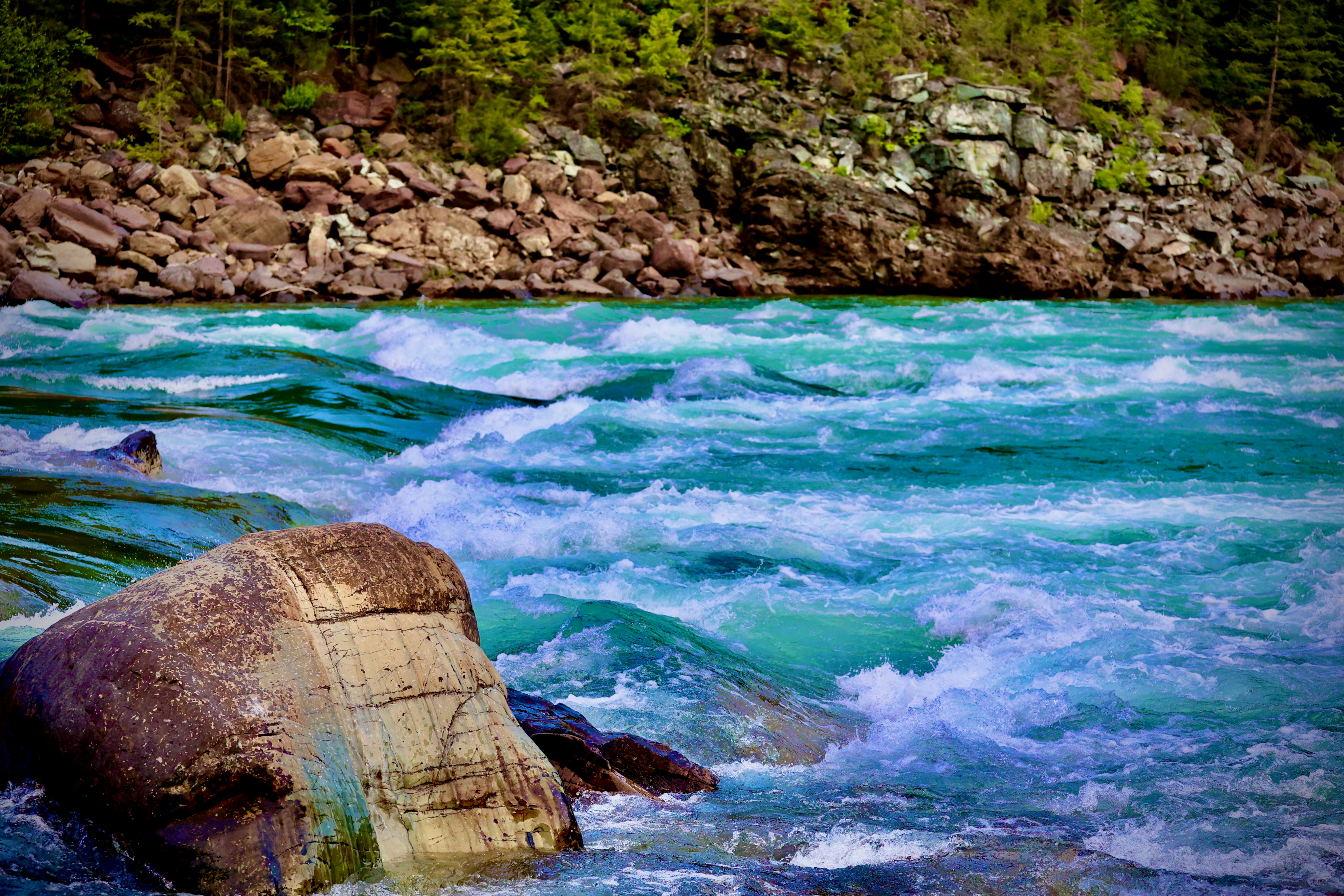 Photo by city2forest