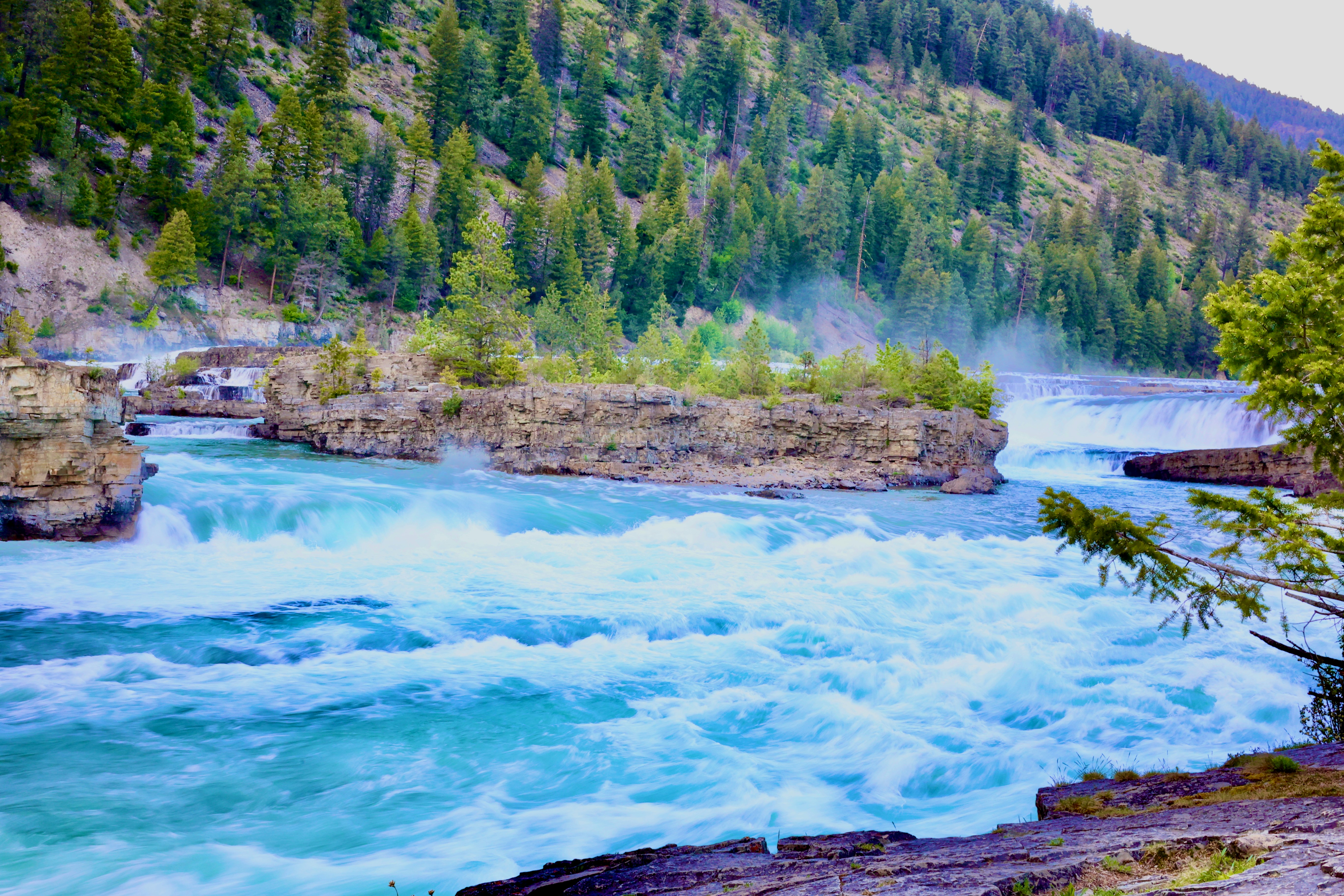 Photo by city2forest