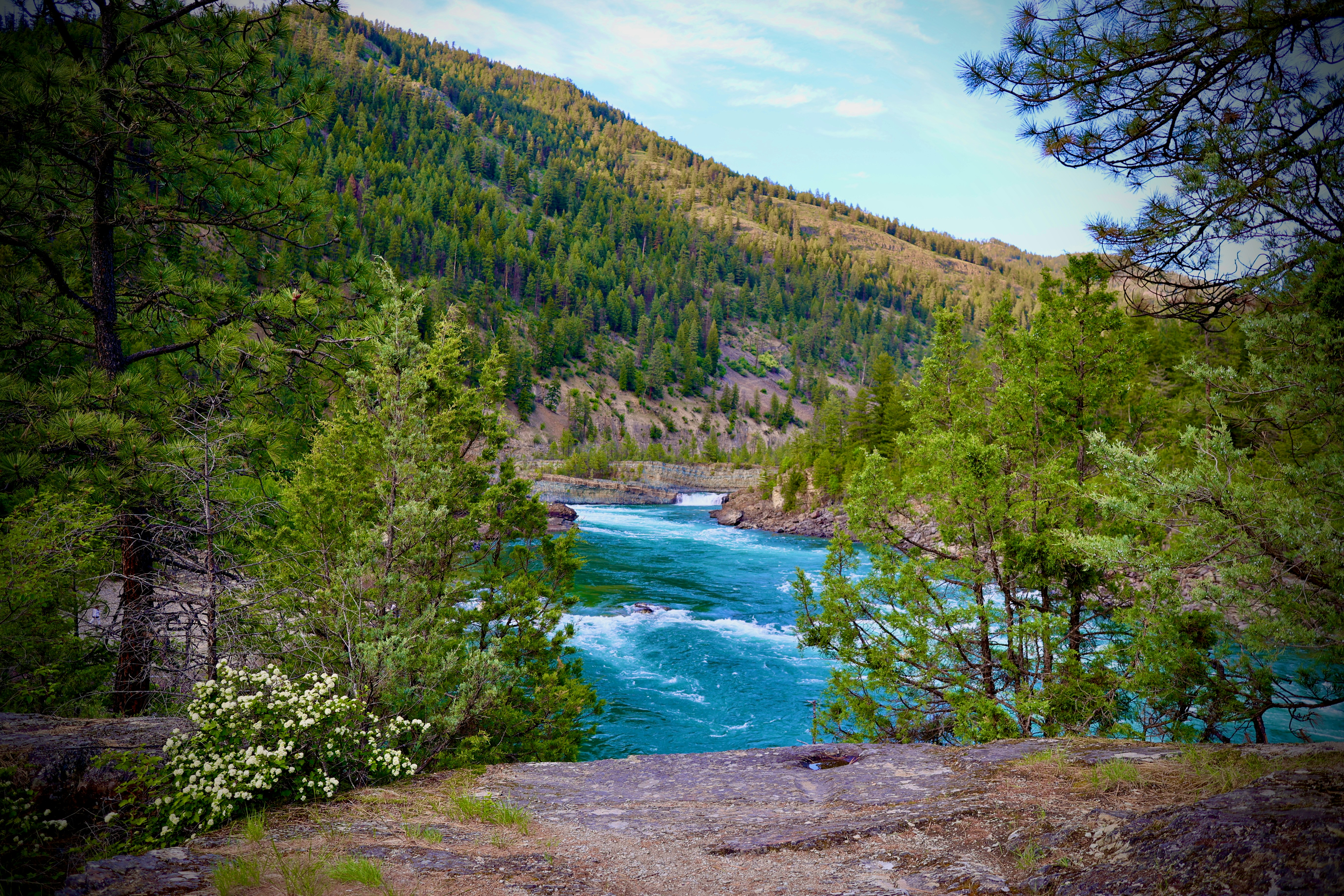 Photo by city2forest