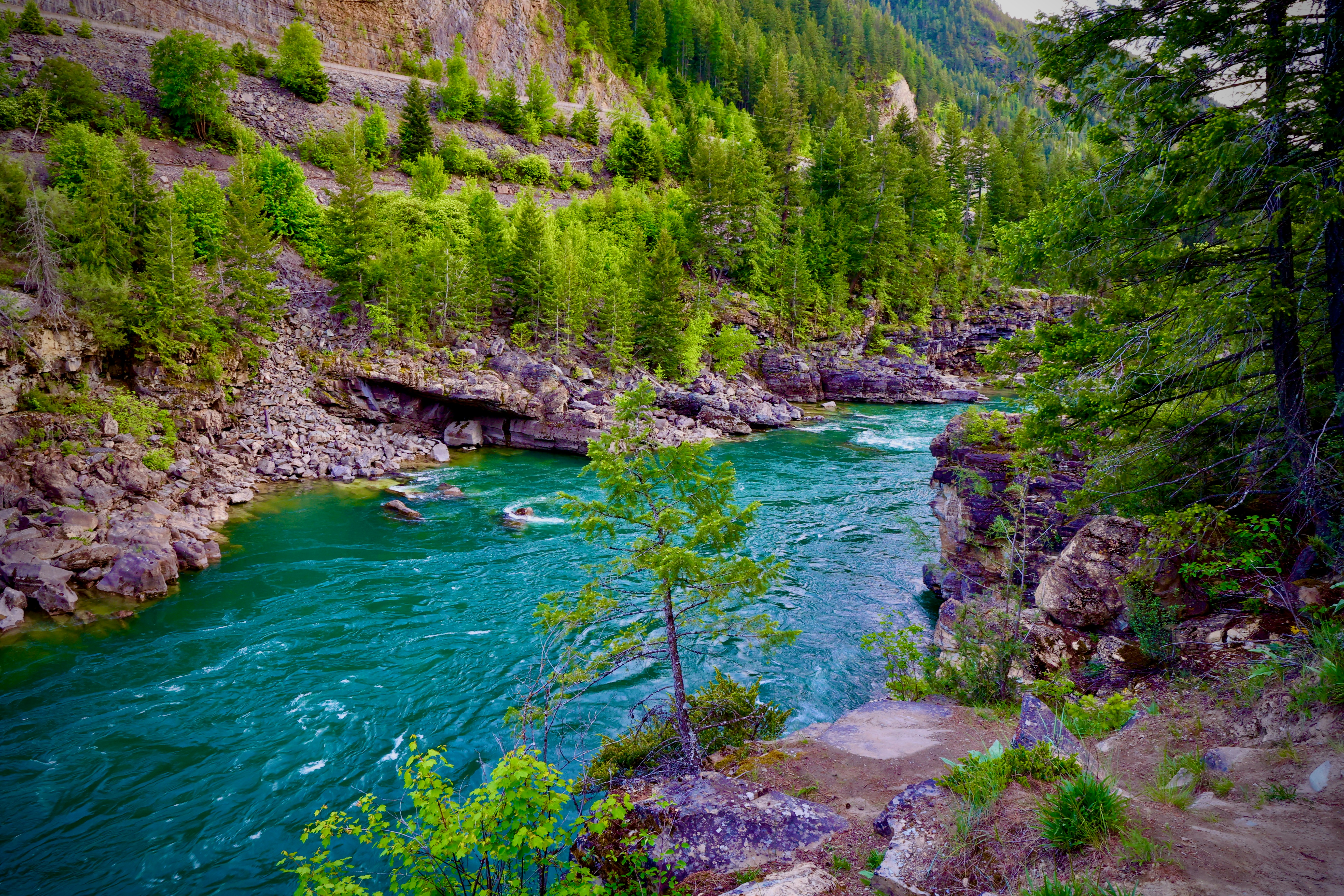 Photo by city2forest