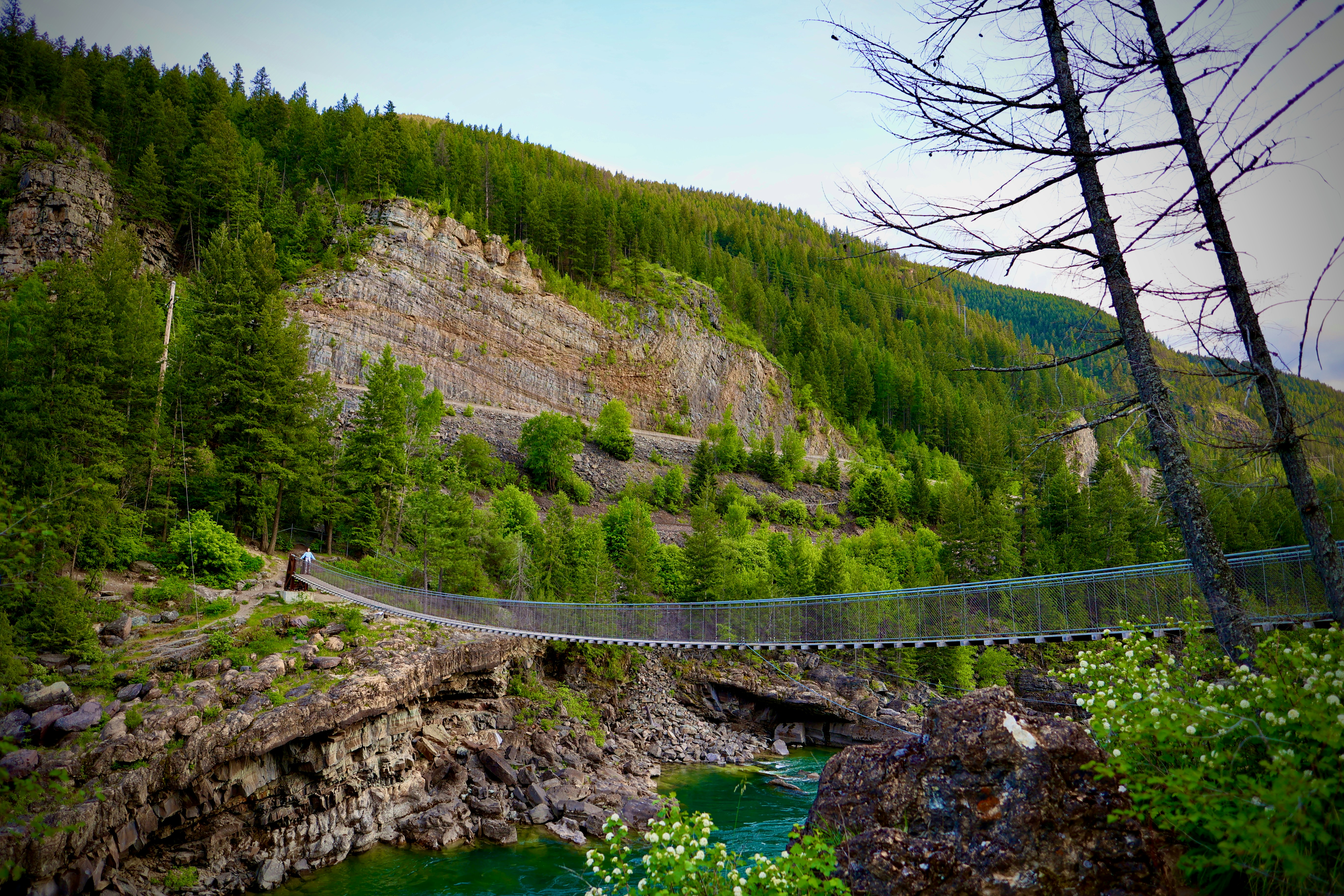 Photo by city2forest