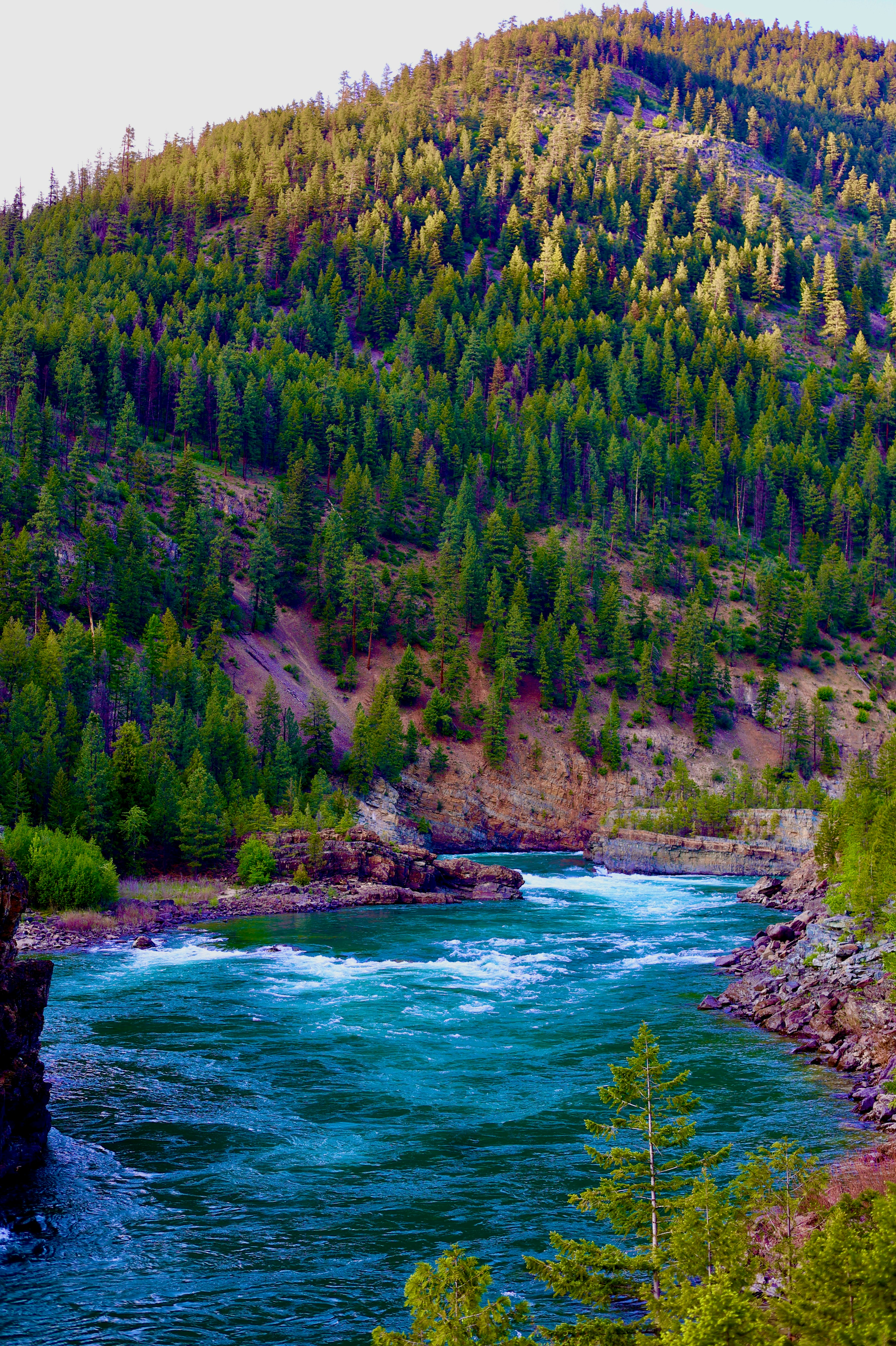 Photo by city2forest