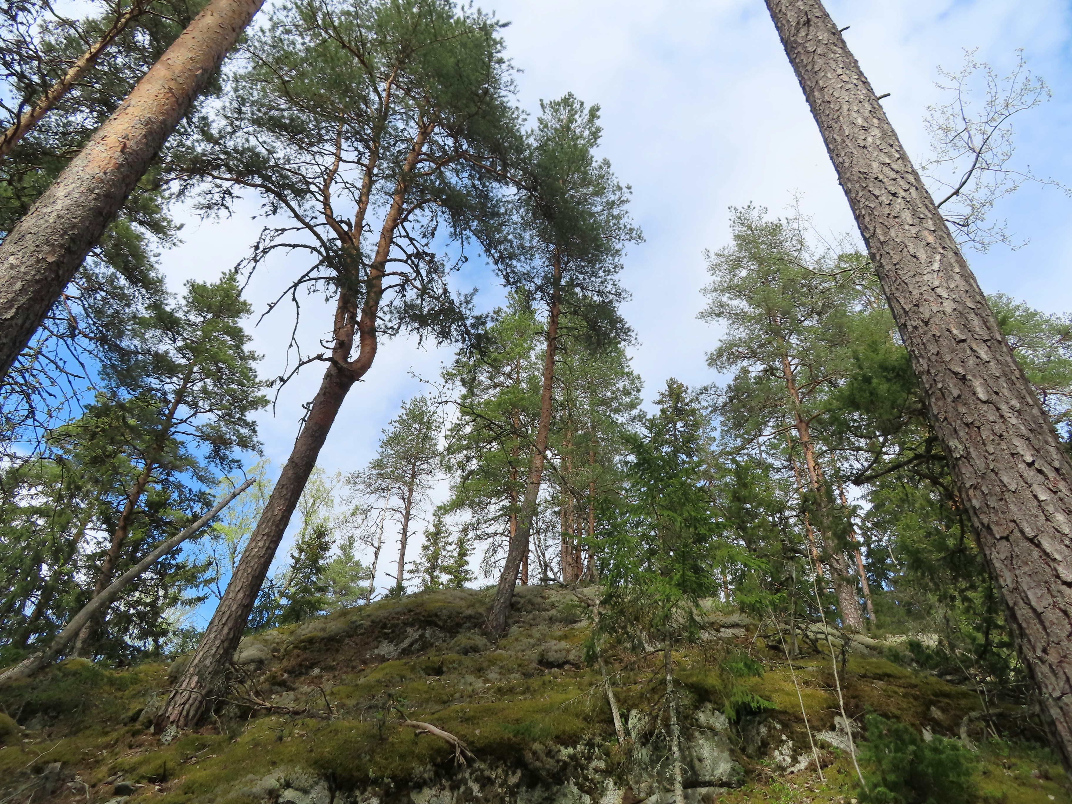 Photo by northernpagan