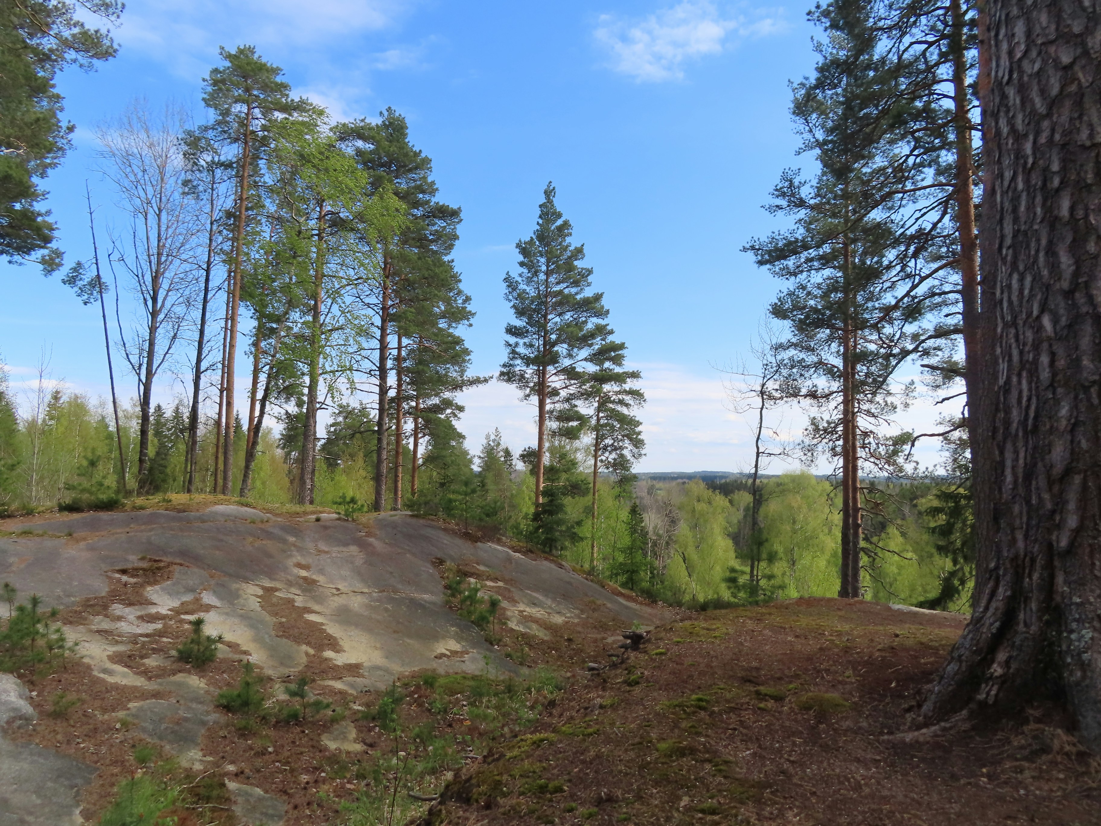 Photo by northernpagan