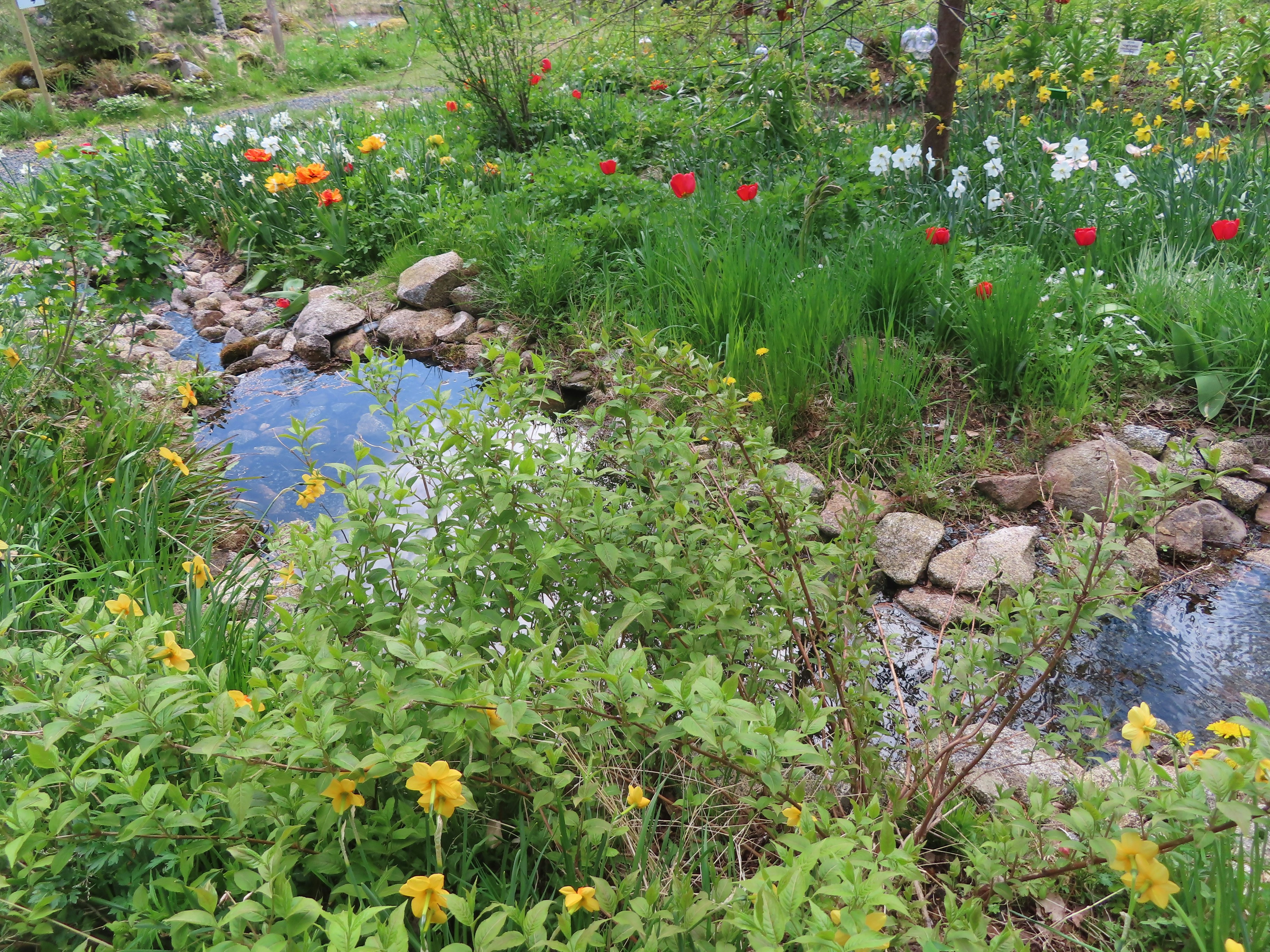 Photo by northernpagan