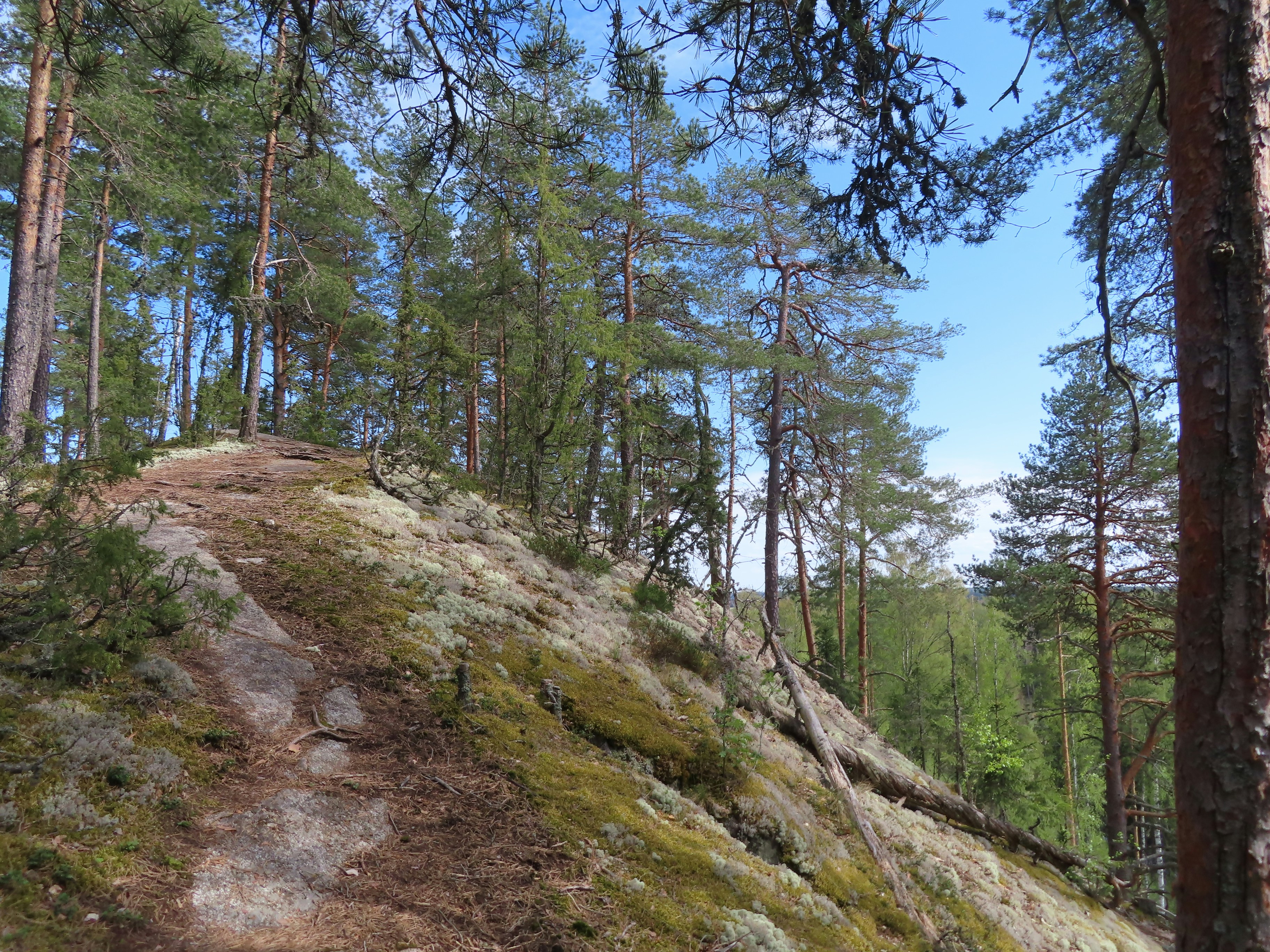 Photo by northernpagan