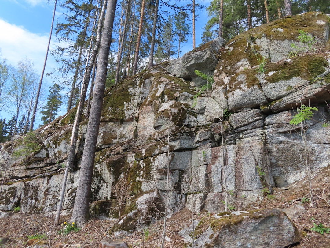 Rocky cliff face covered in moss and trees.,