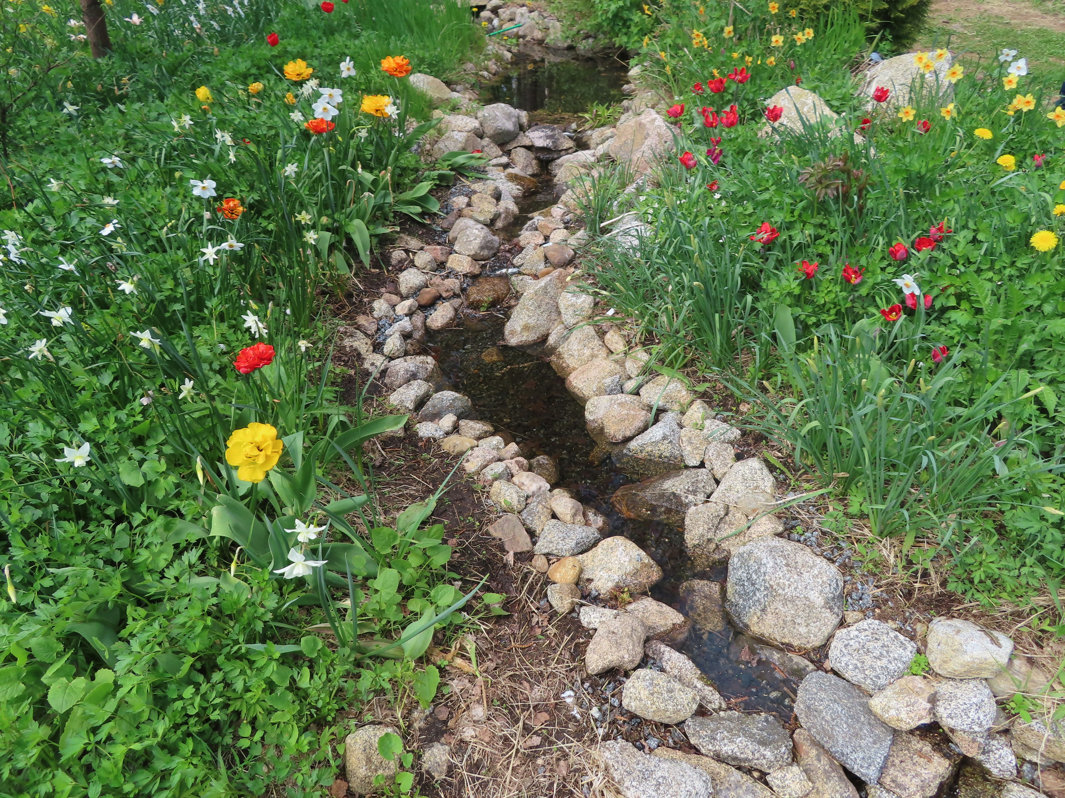 Photo by northernpagan