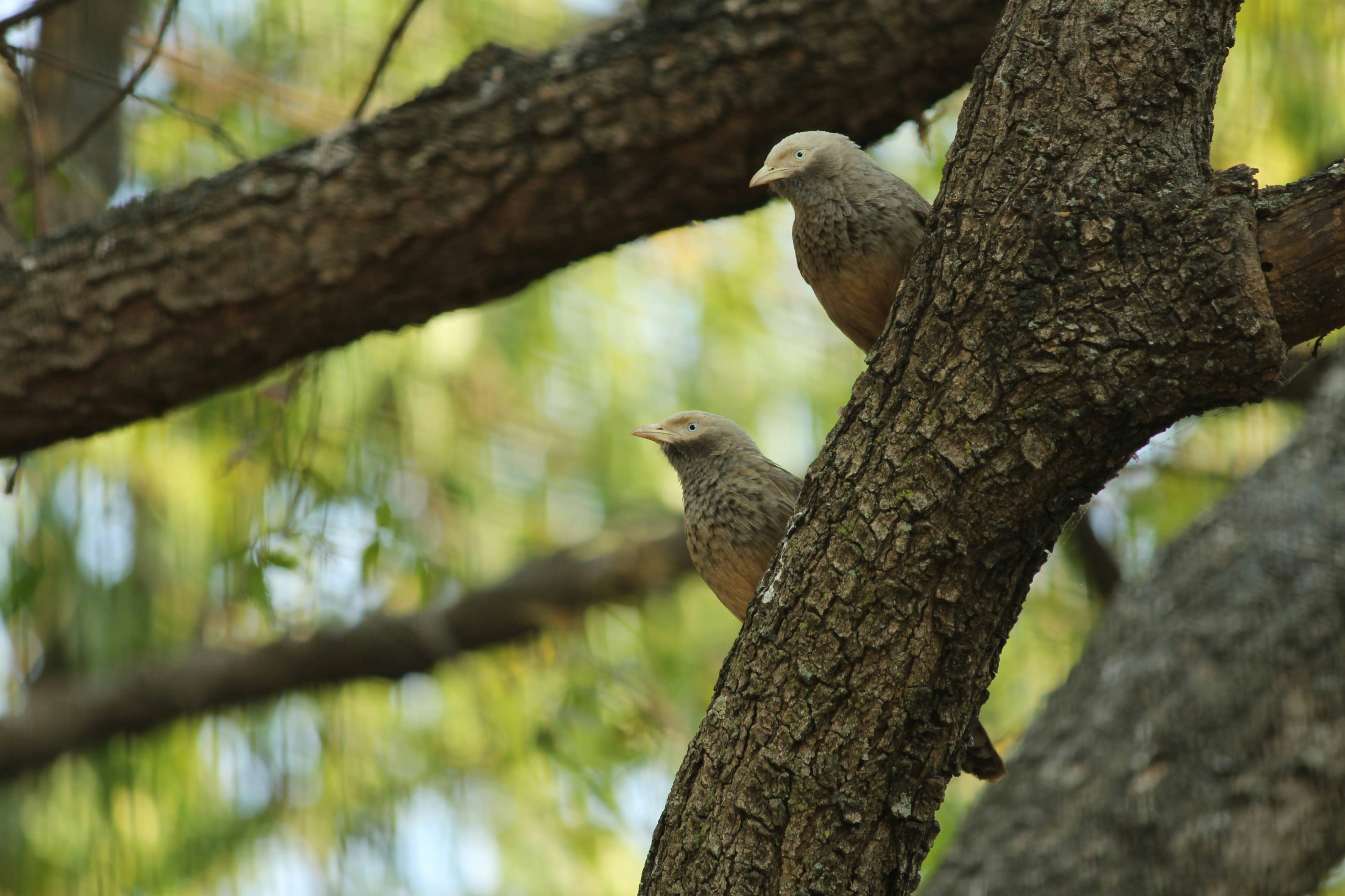 Photo by alpha_centaurus