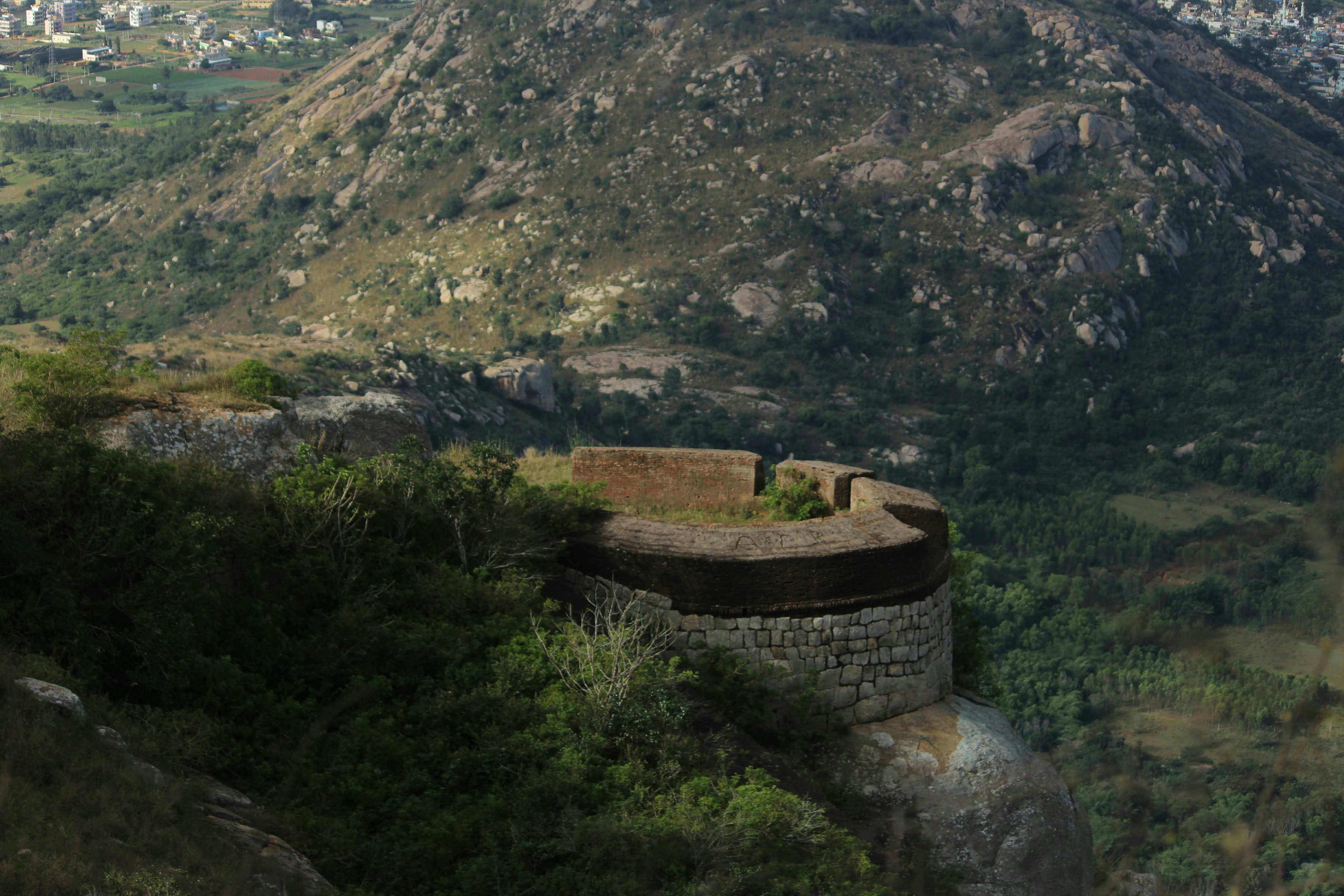 Photo by alpha_centaurus