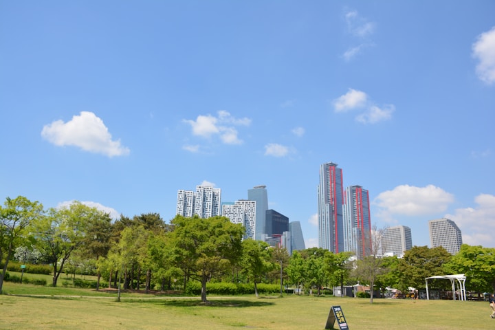 Park with skyscrapers in the background under blue sky.