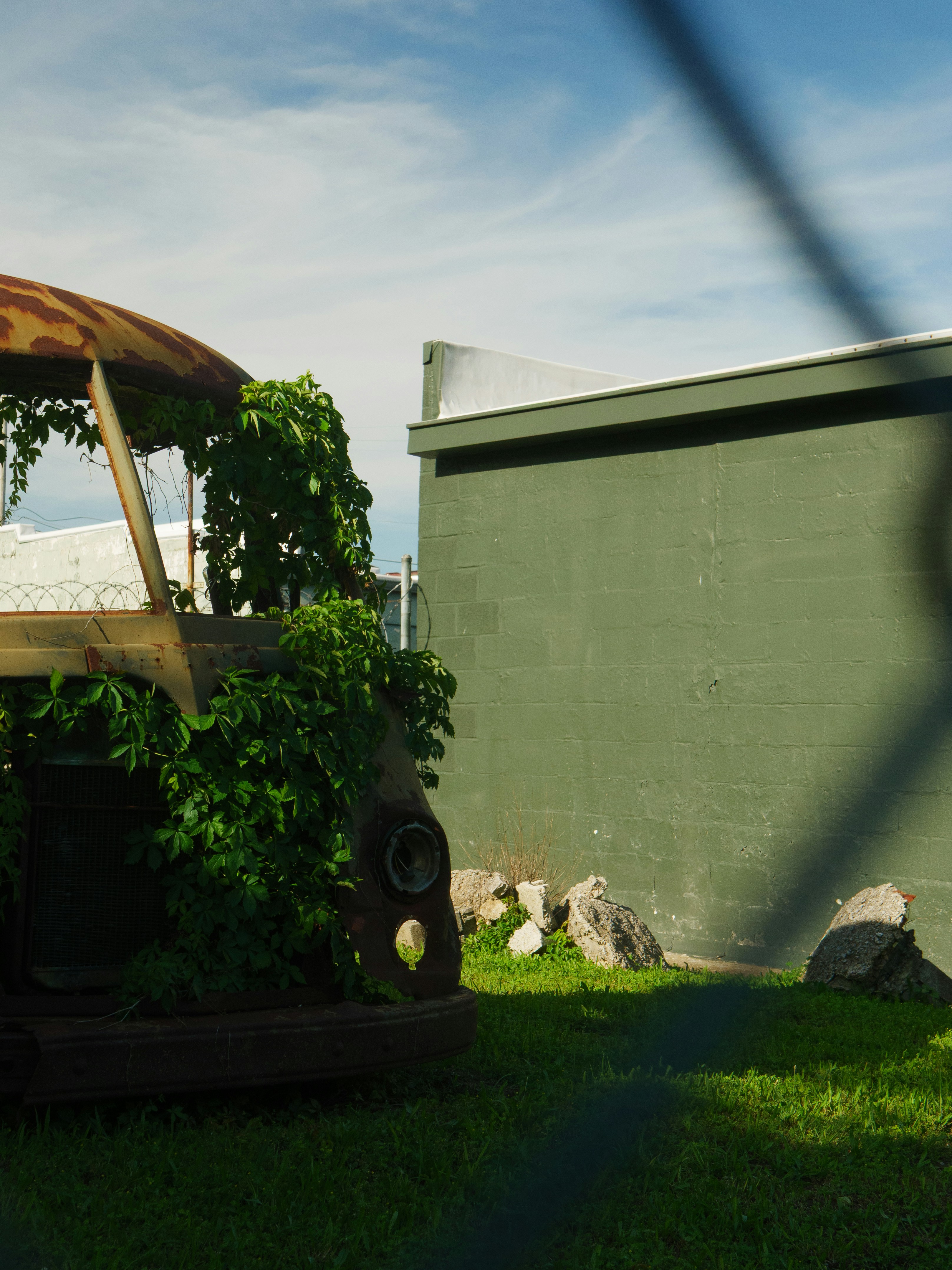 Old, overgrown vehicle sits near a green wall.