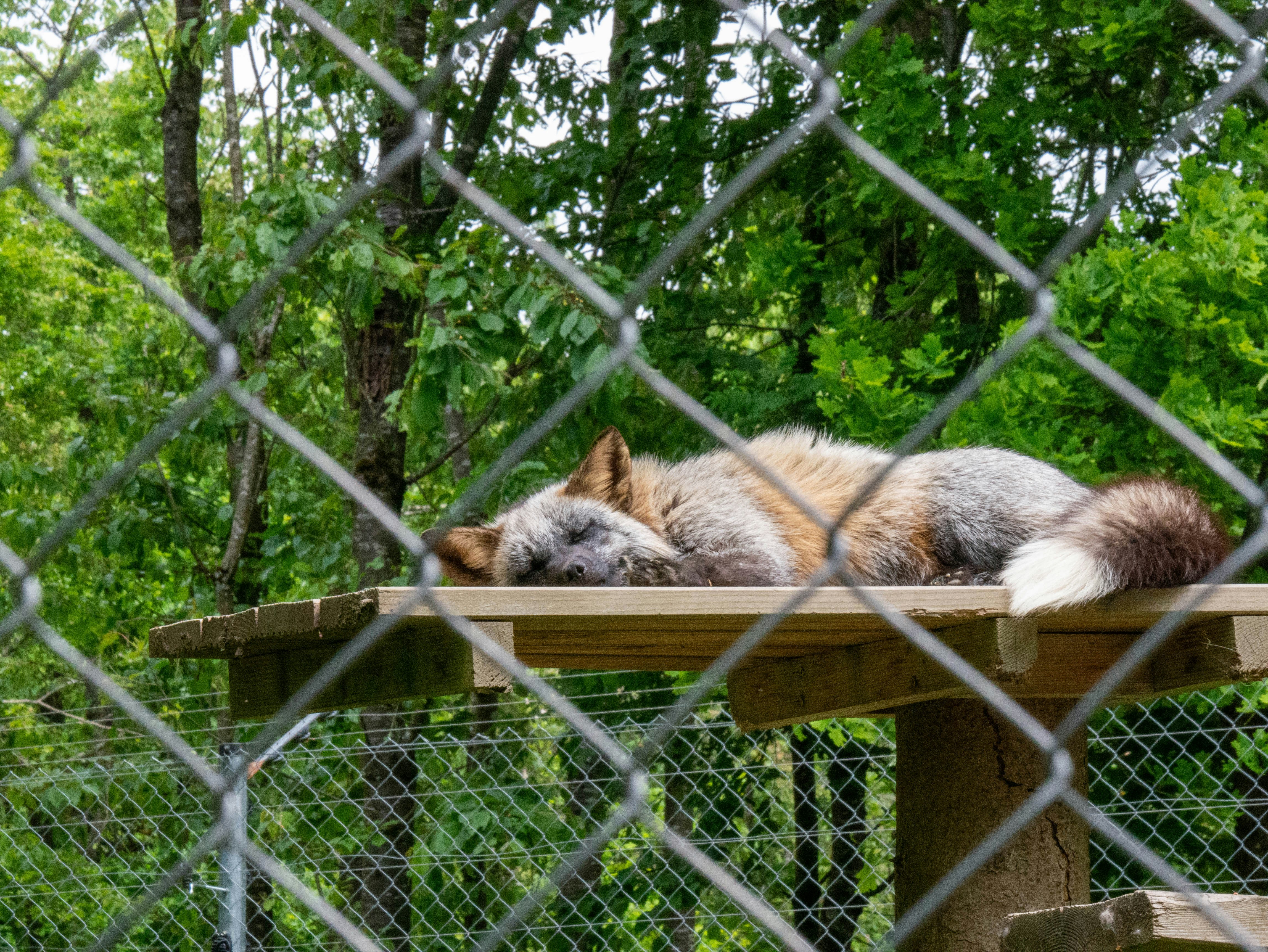 Photo by jameskitt616