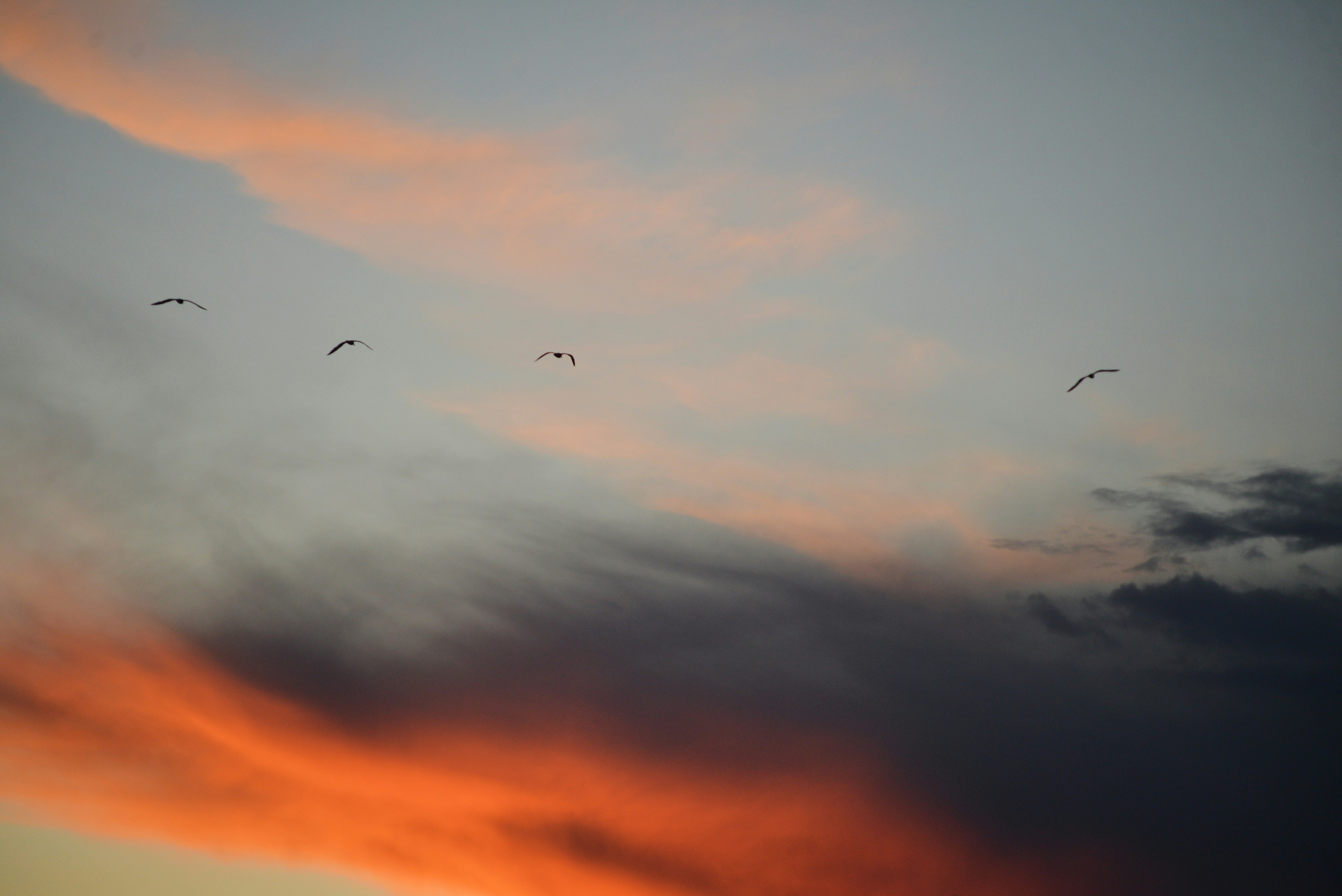 Photo by cherstve_pechivo