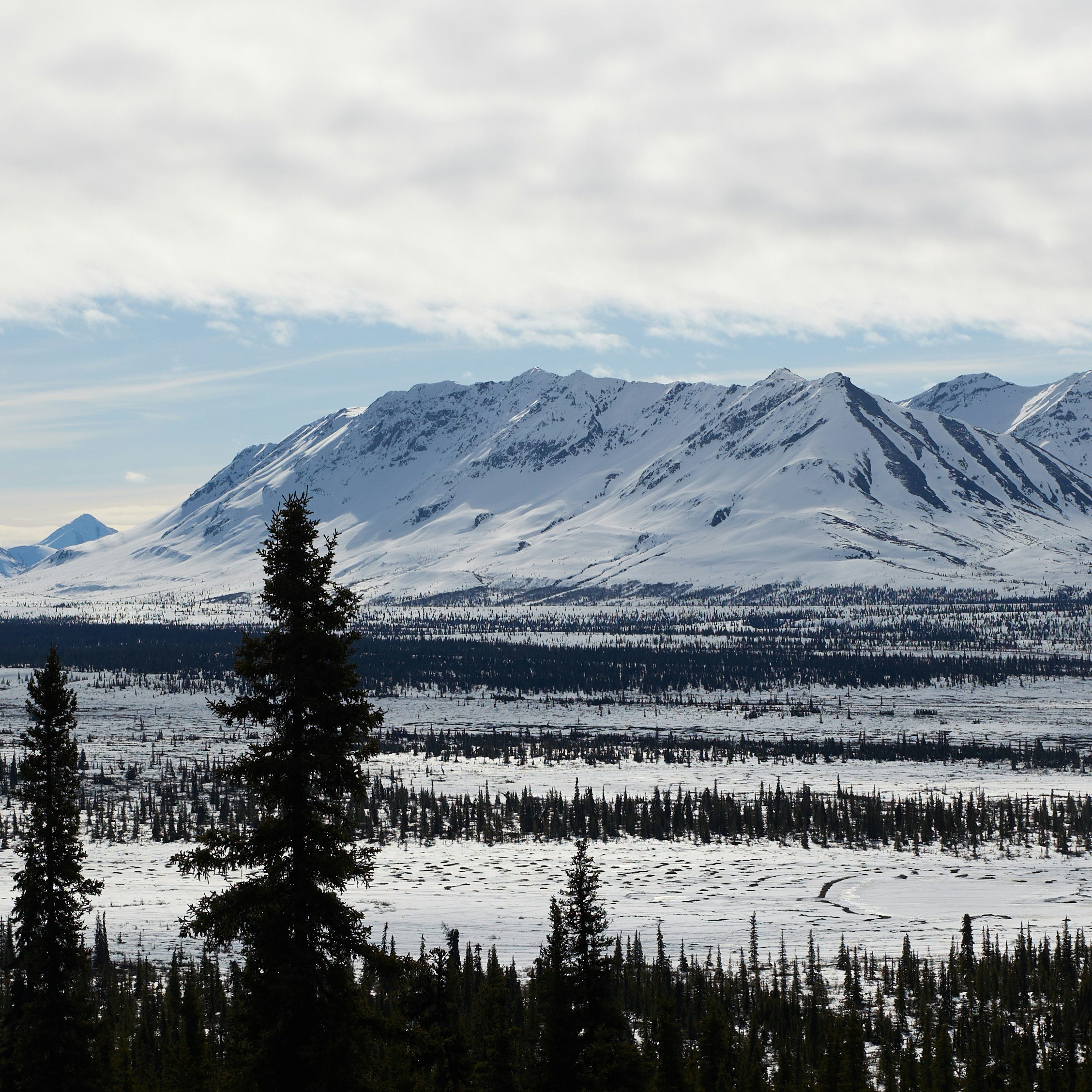 Photo by skyfly_rich