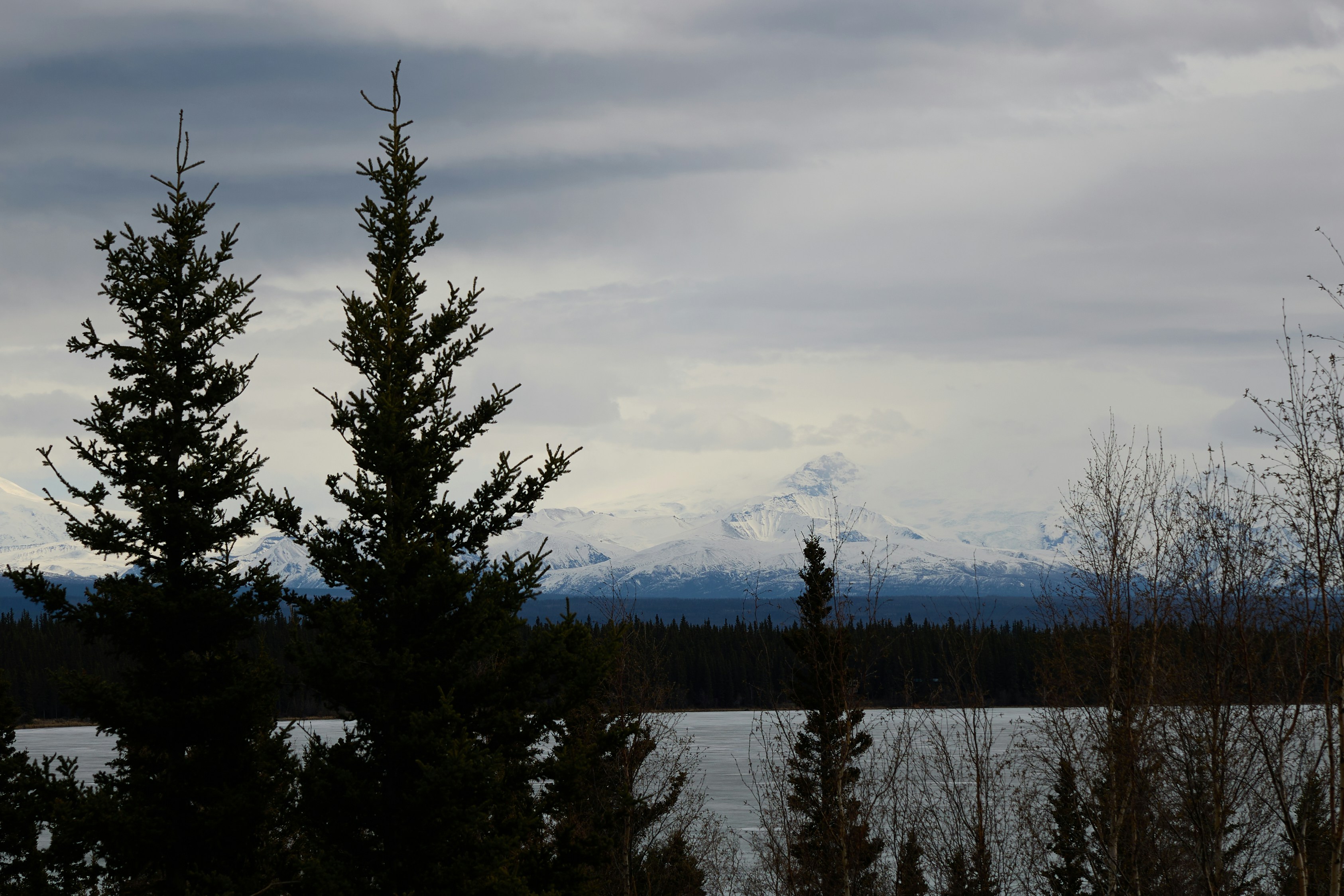 Photo by skyfly_rich