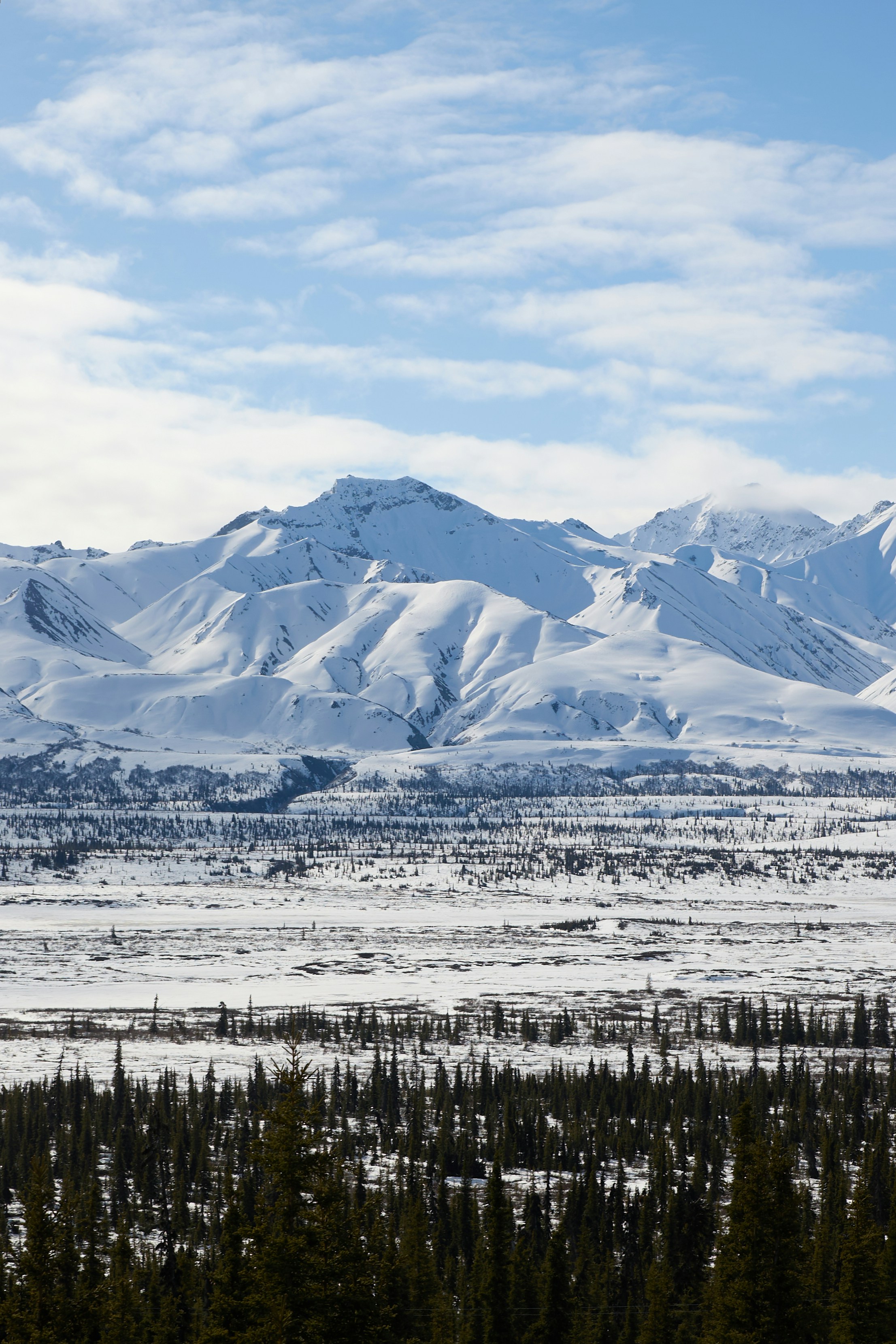 Photo by skyfly_rich