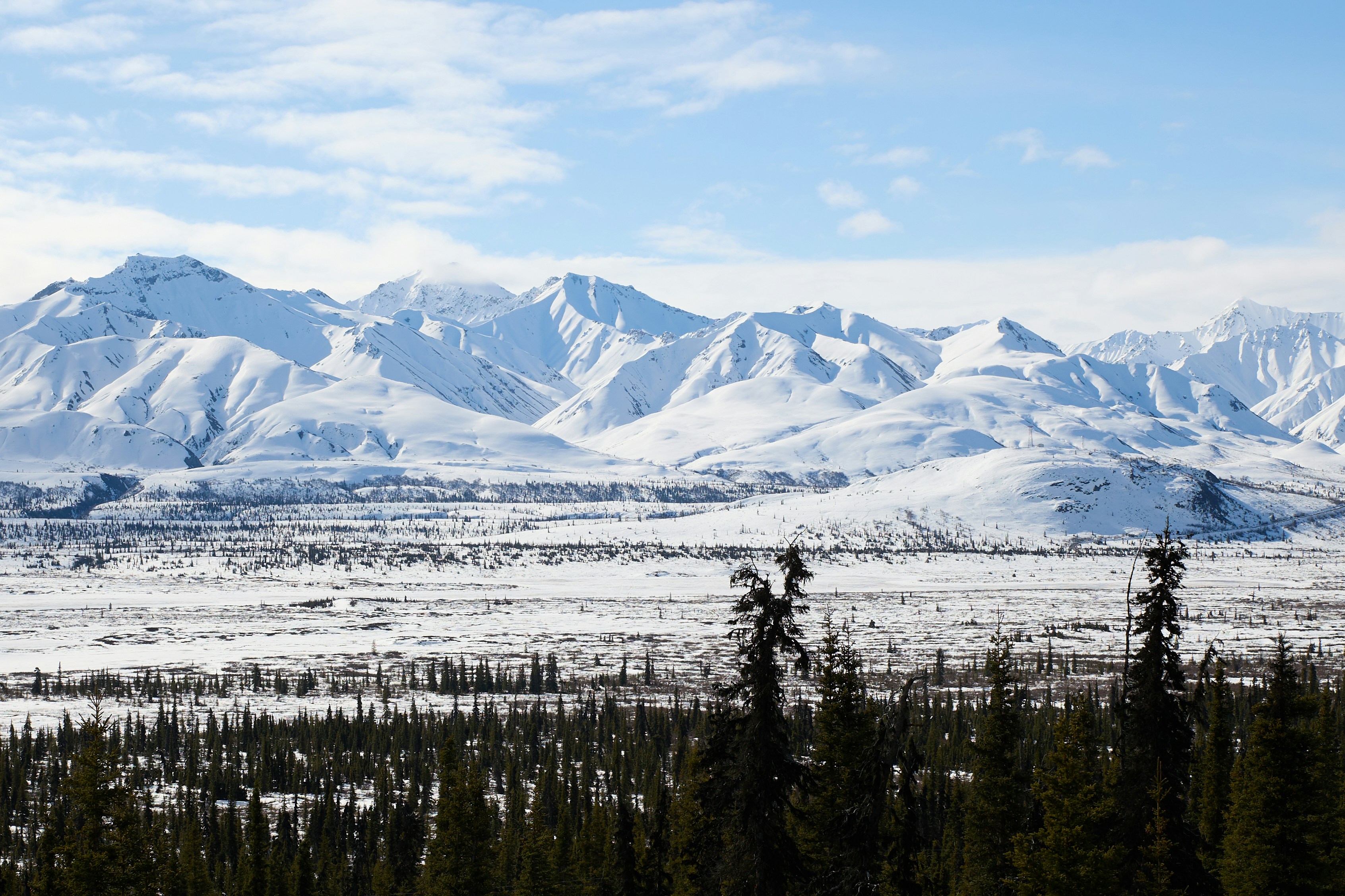 Photo by skyfly_rich