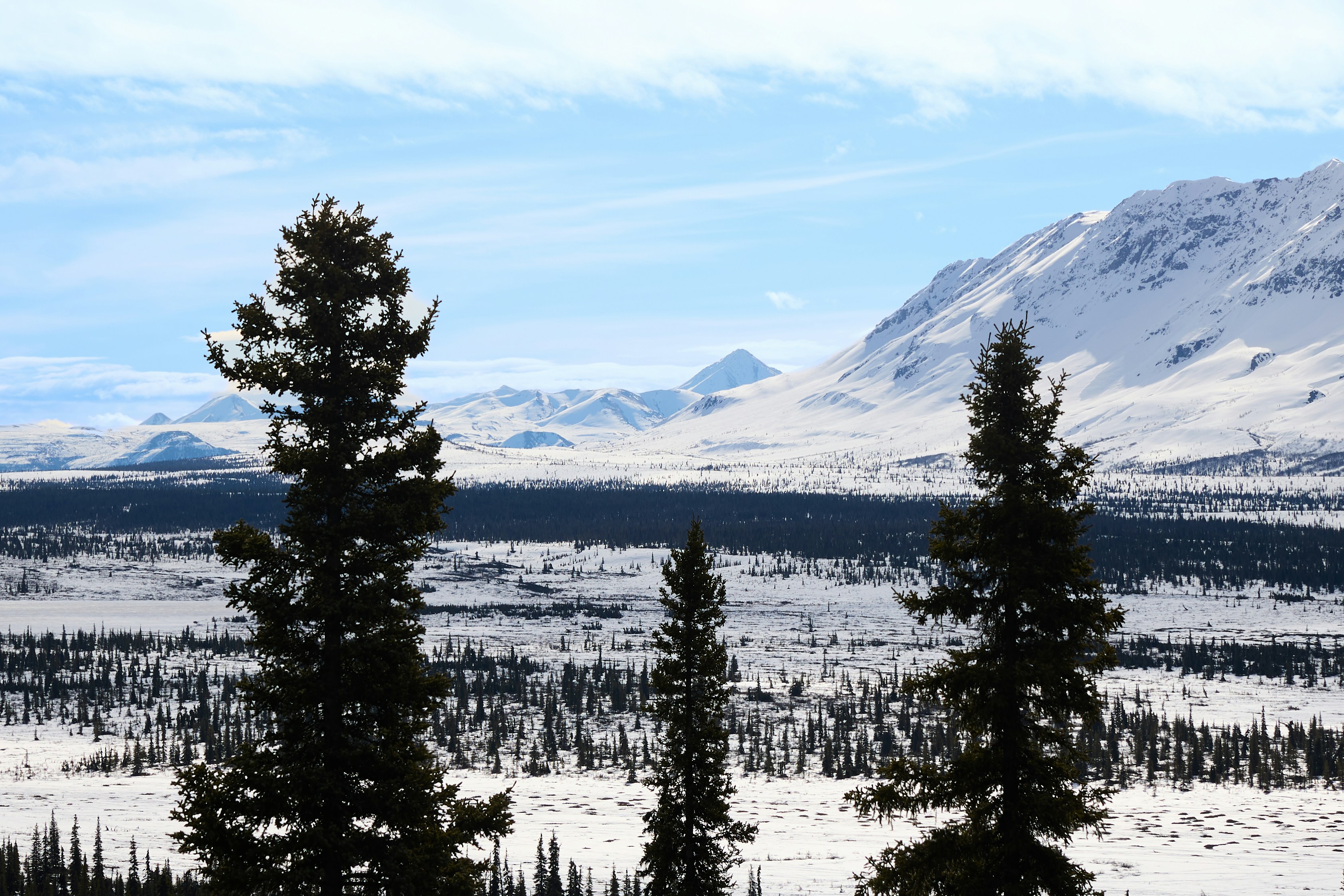 Photo by skyfly_rich