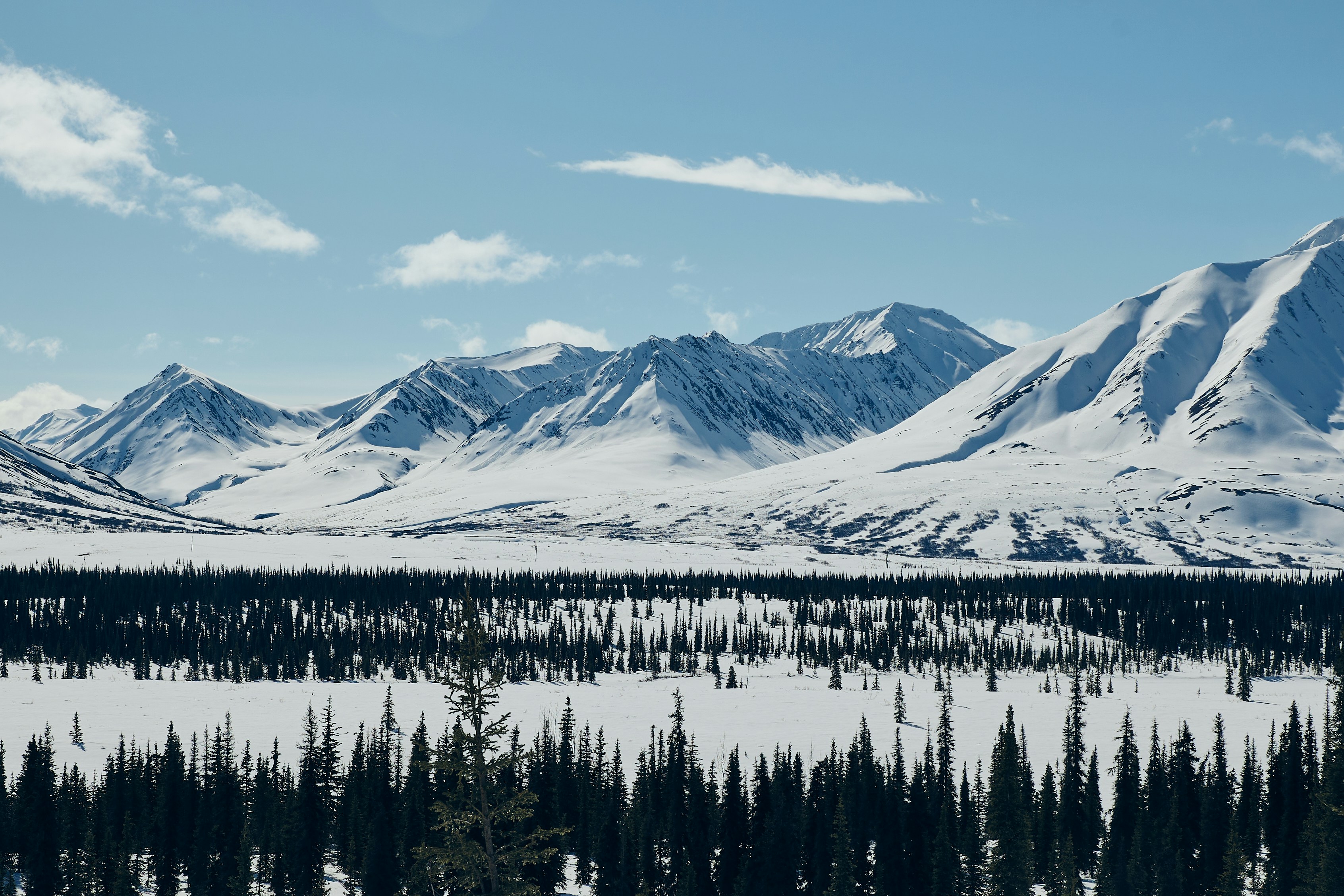 Photo by skyfly_rich