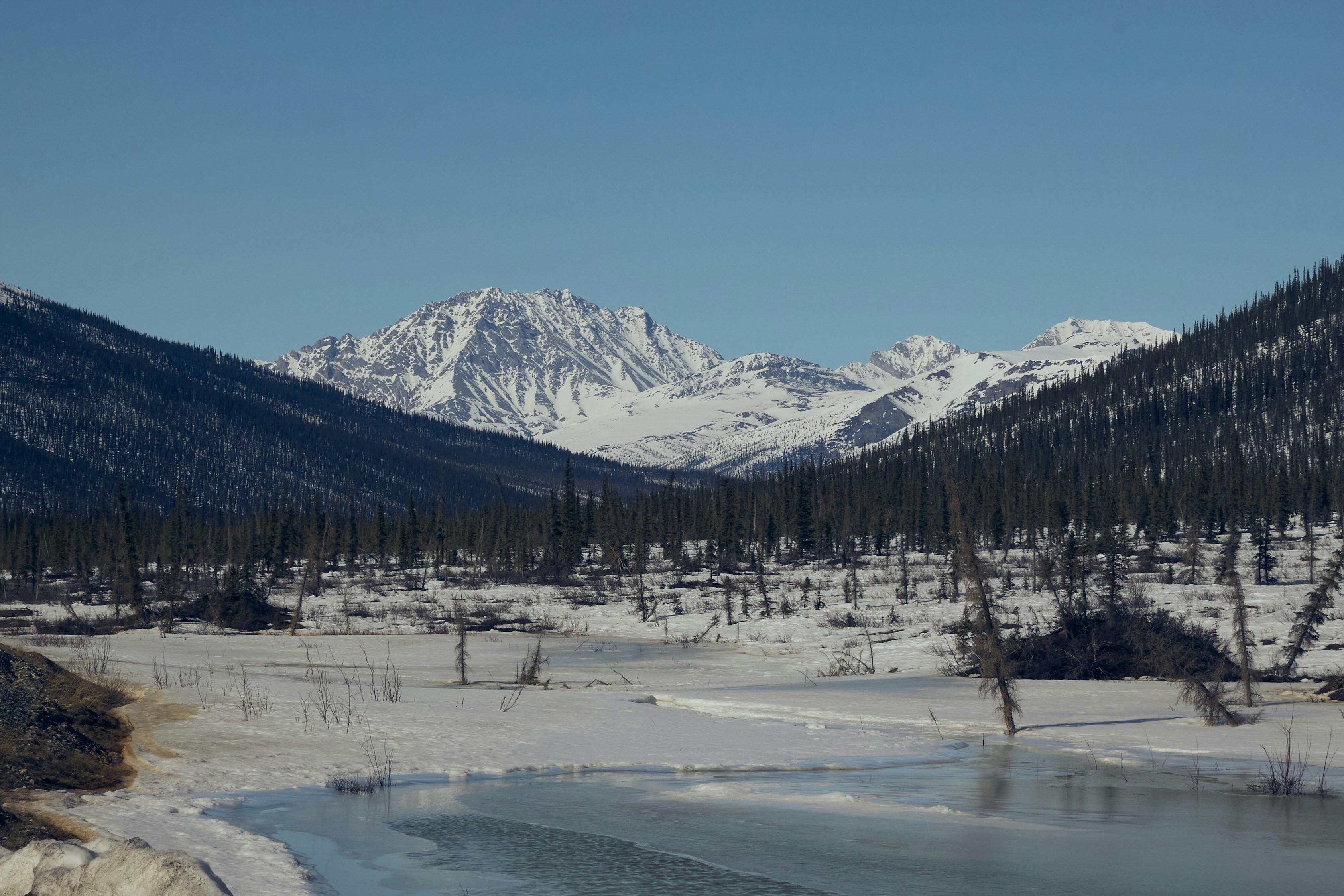 Photo by skyfly_rich