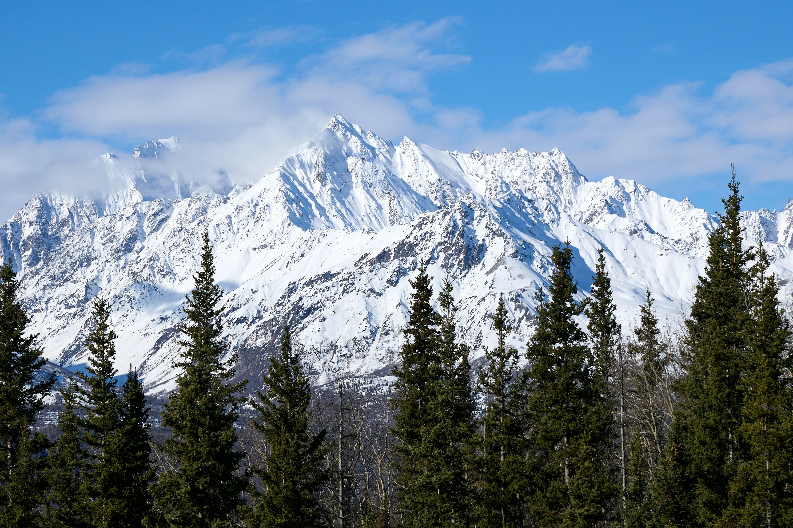 Photo by skyfly_rich