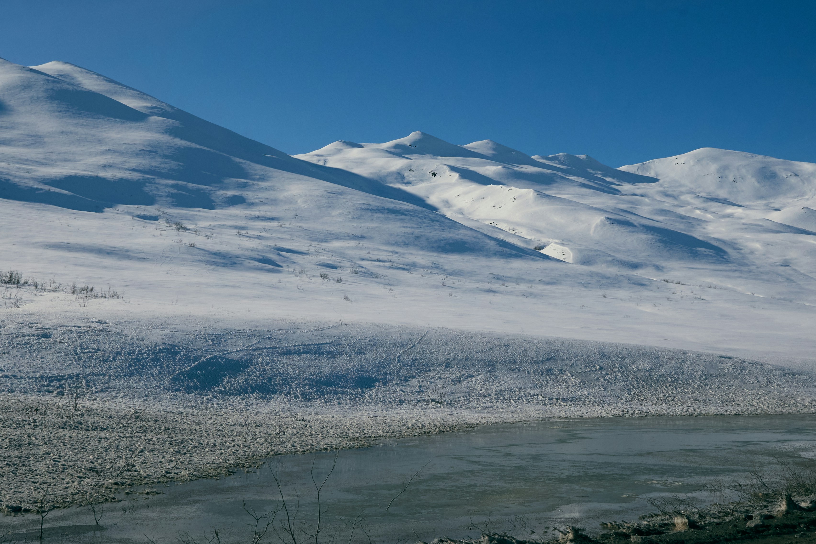 Photo by skyfly_rich