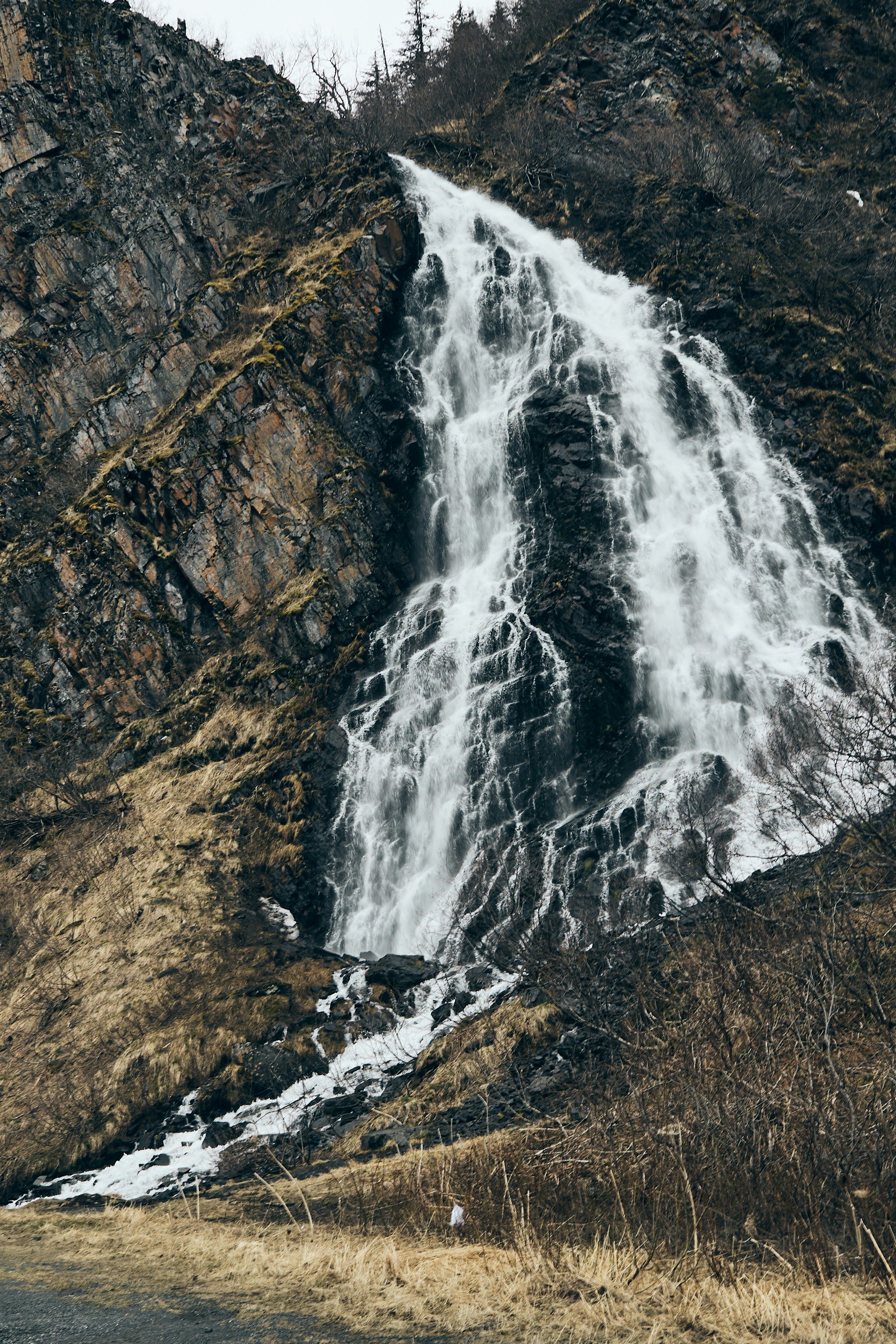 Photo by skyfly_rich