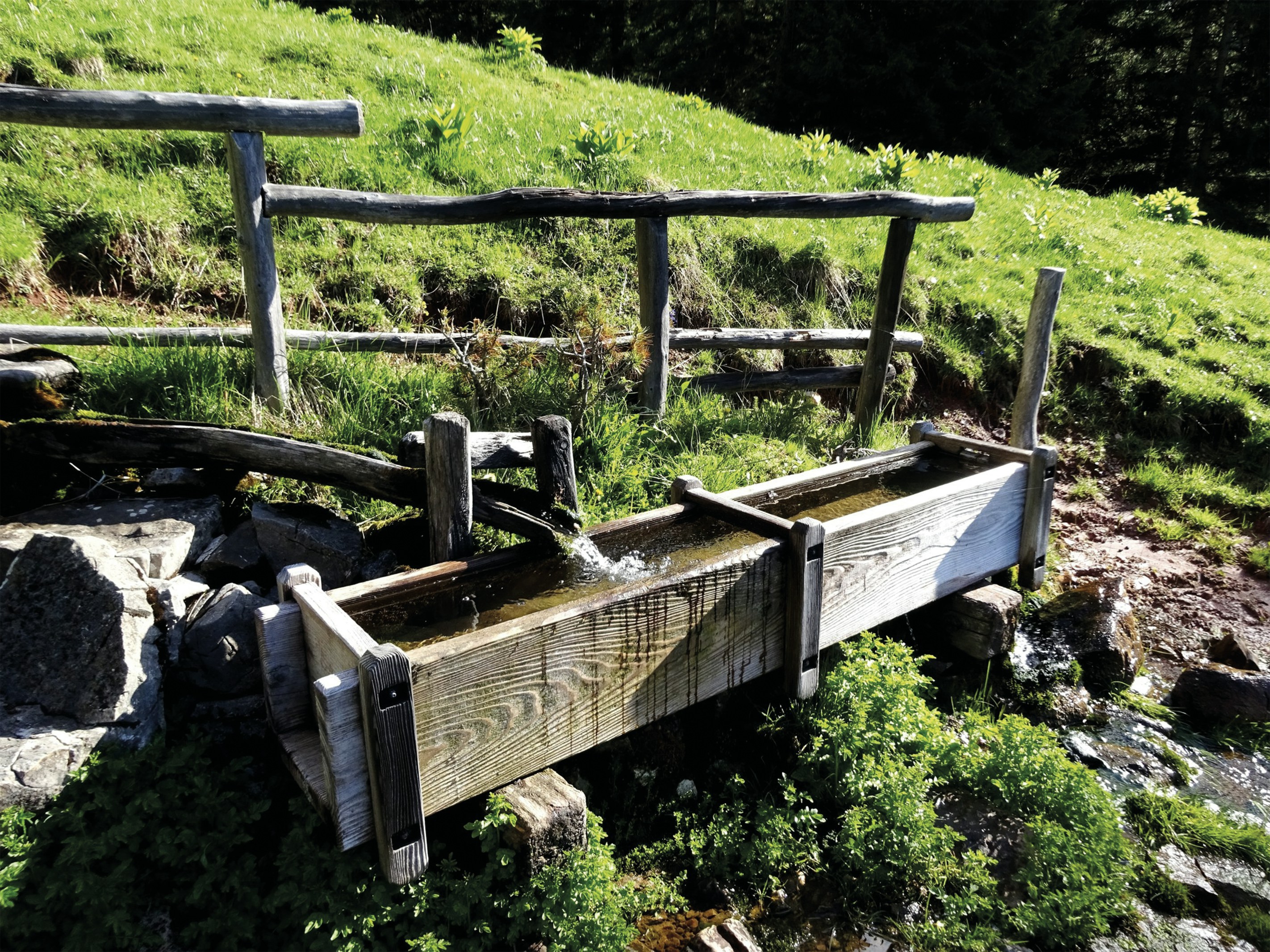 El agua como motor de innovación y sostenibilidad en el Foro H2O Futuro 2026