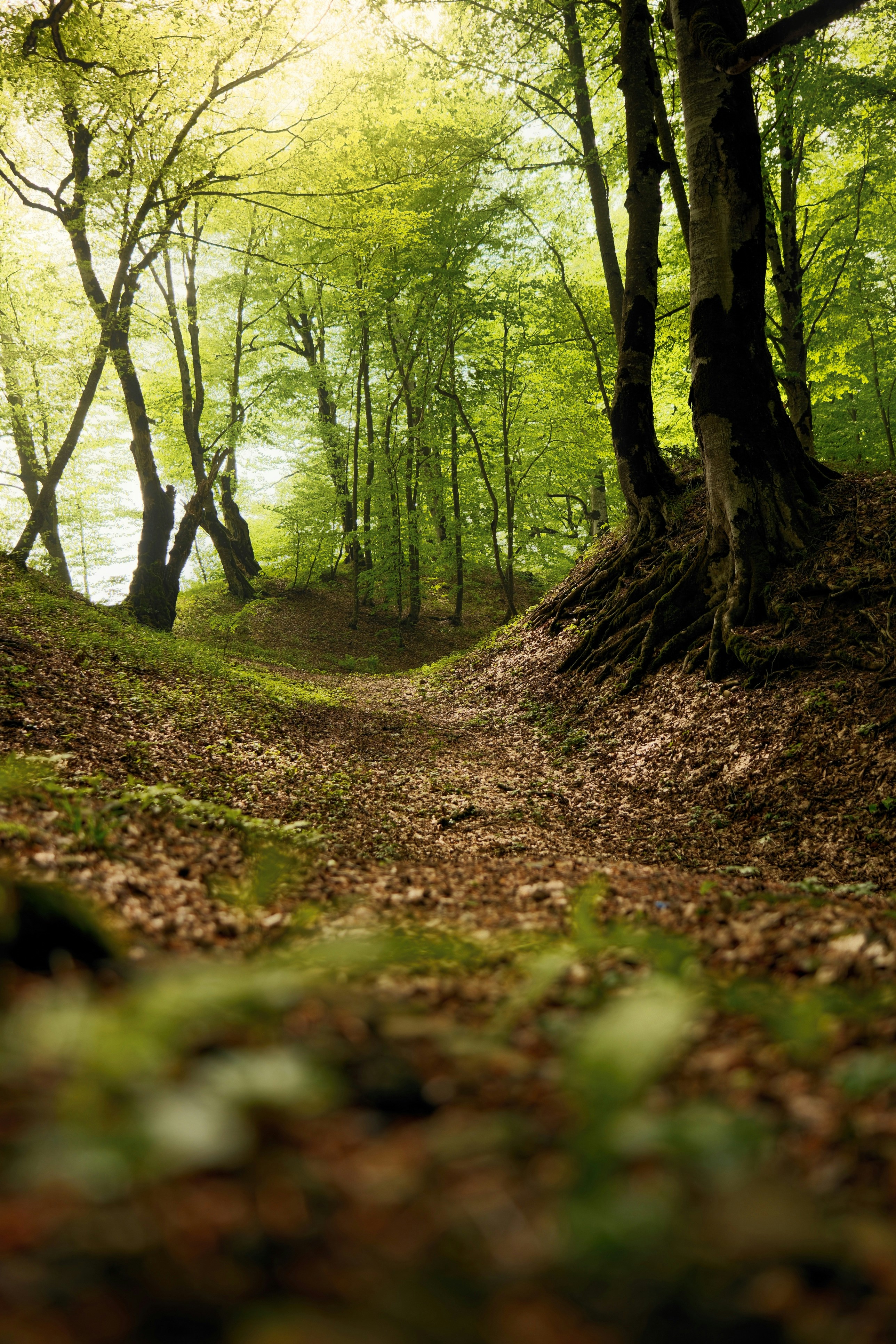 Photo by mrparalloid