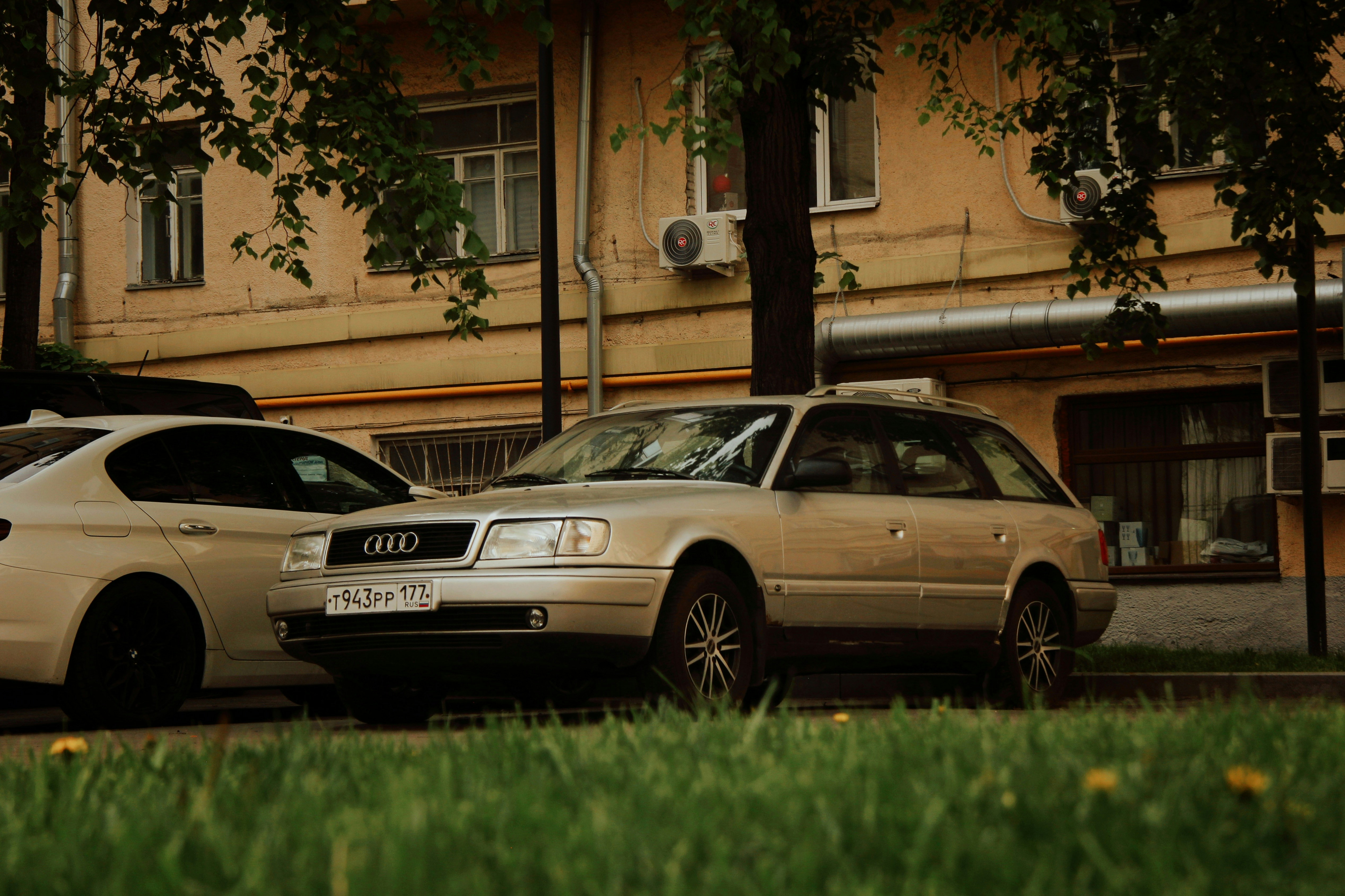 Photo by felis_catus