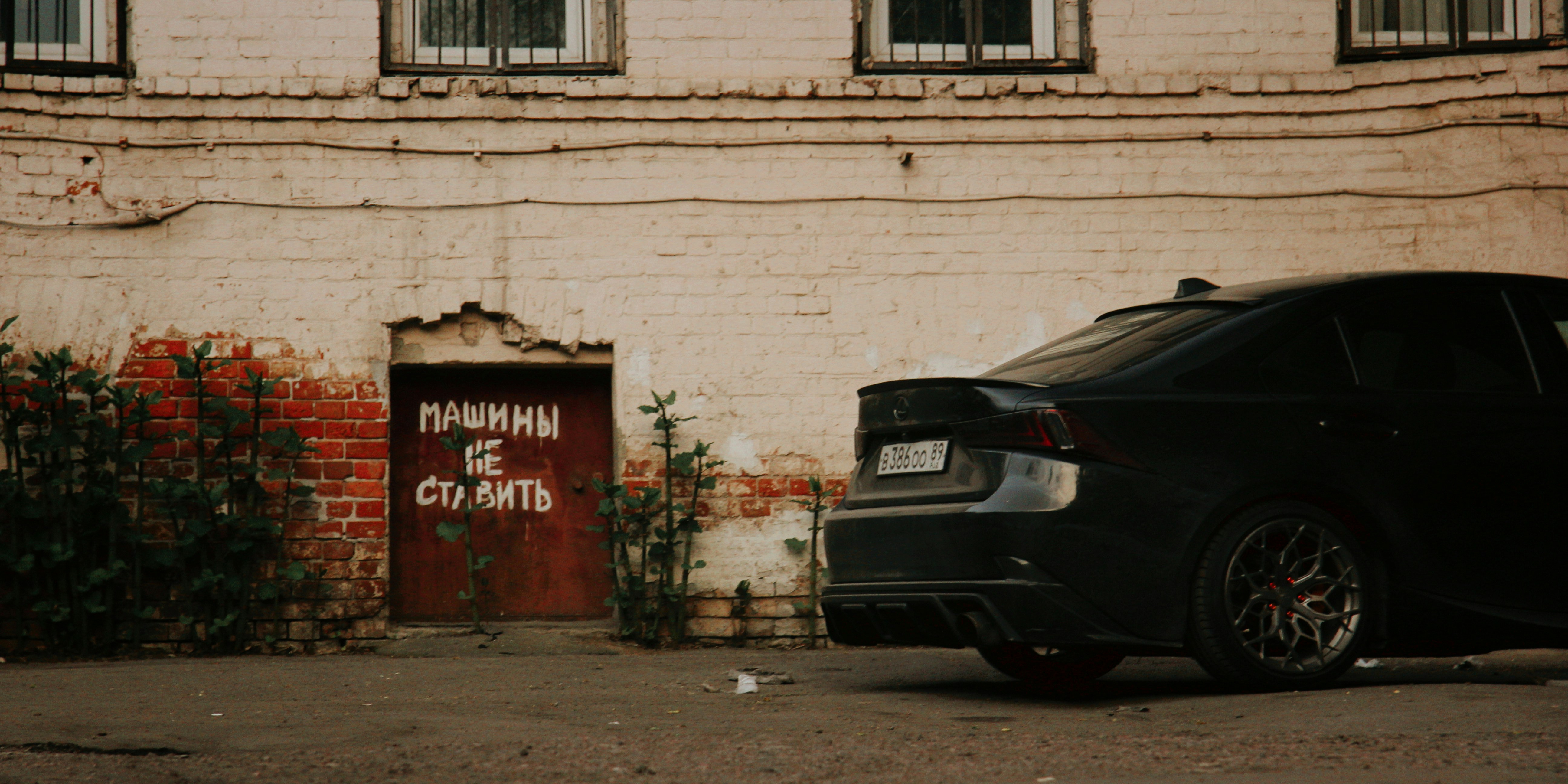 Photo by felis_catus