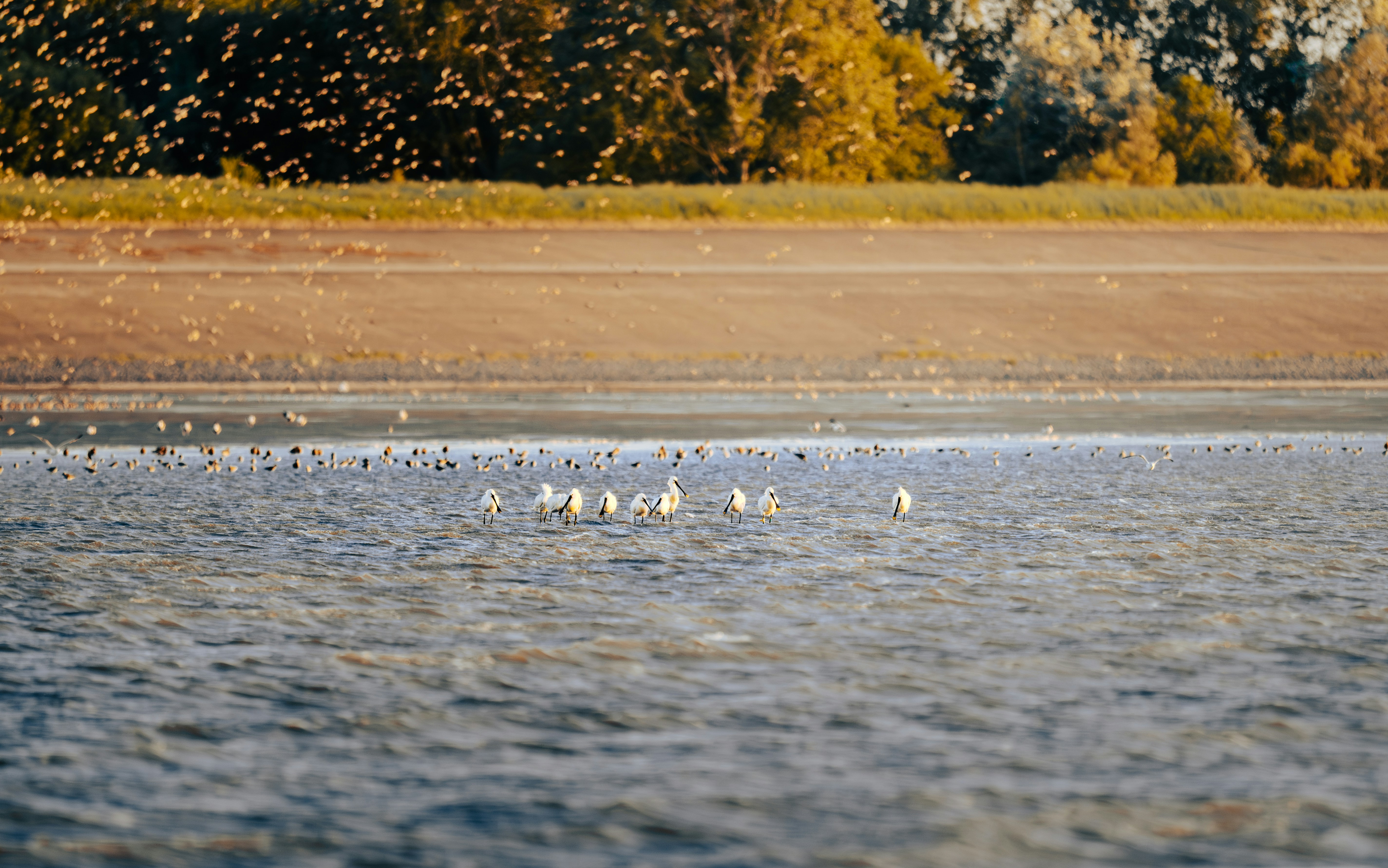 Photo by job_vermeulen