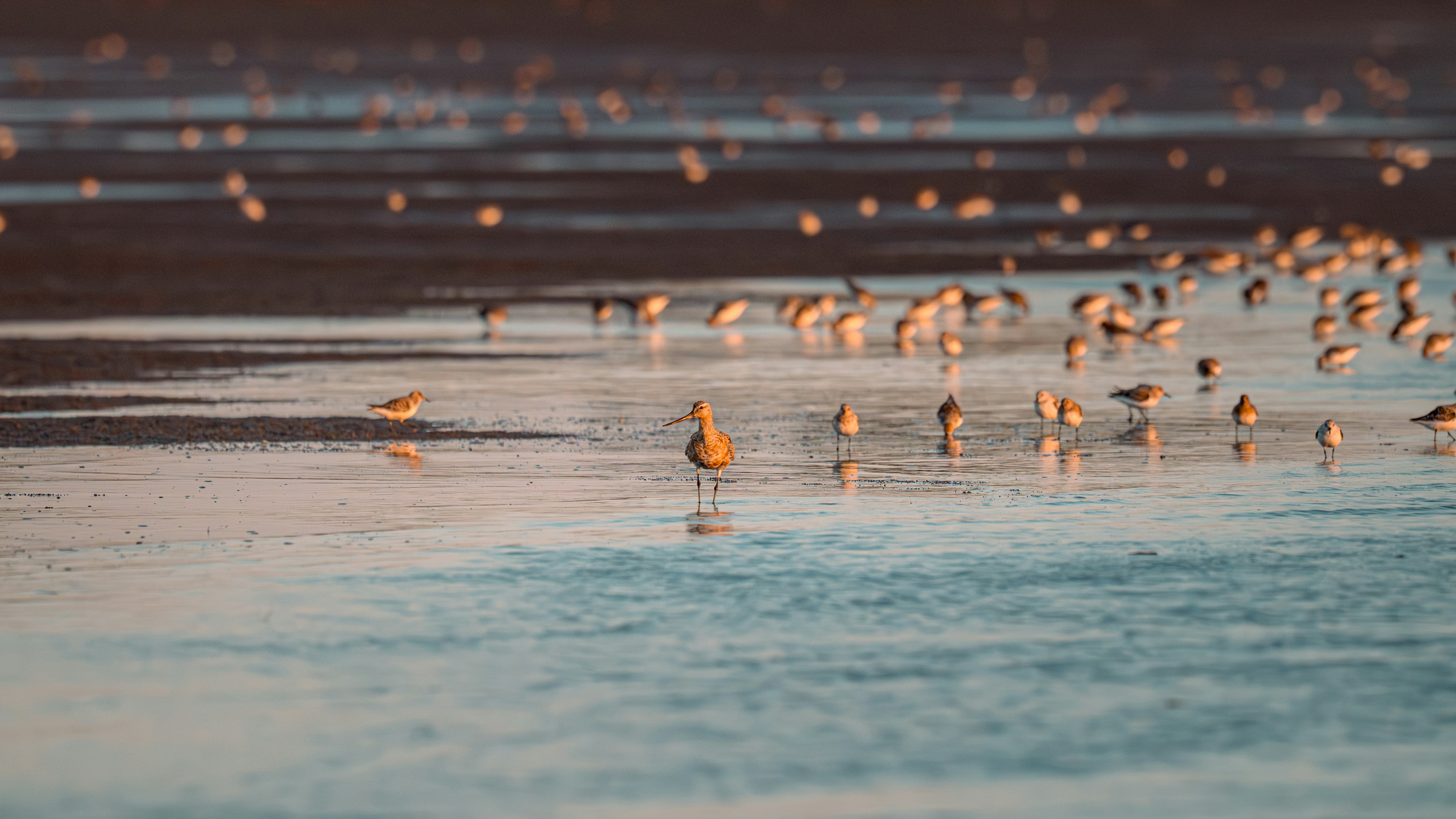 Photo by job_vermeulen