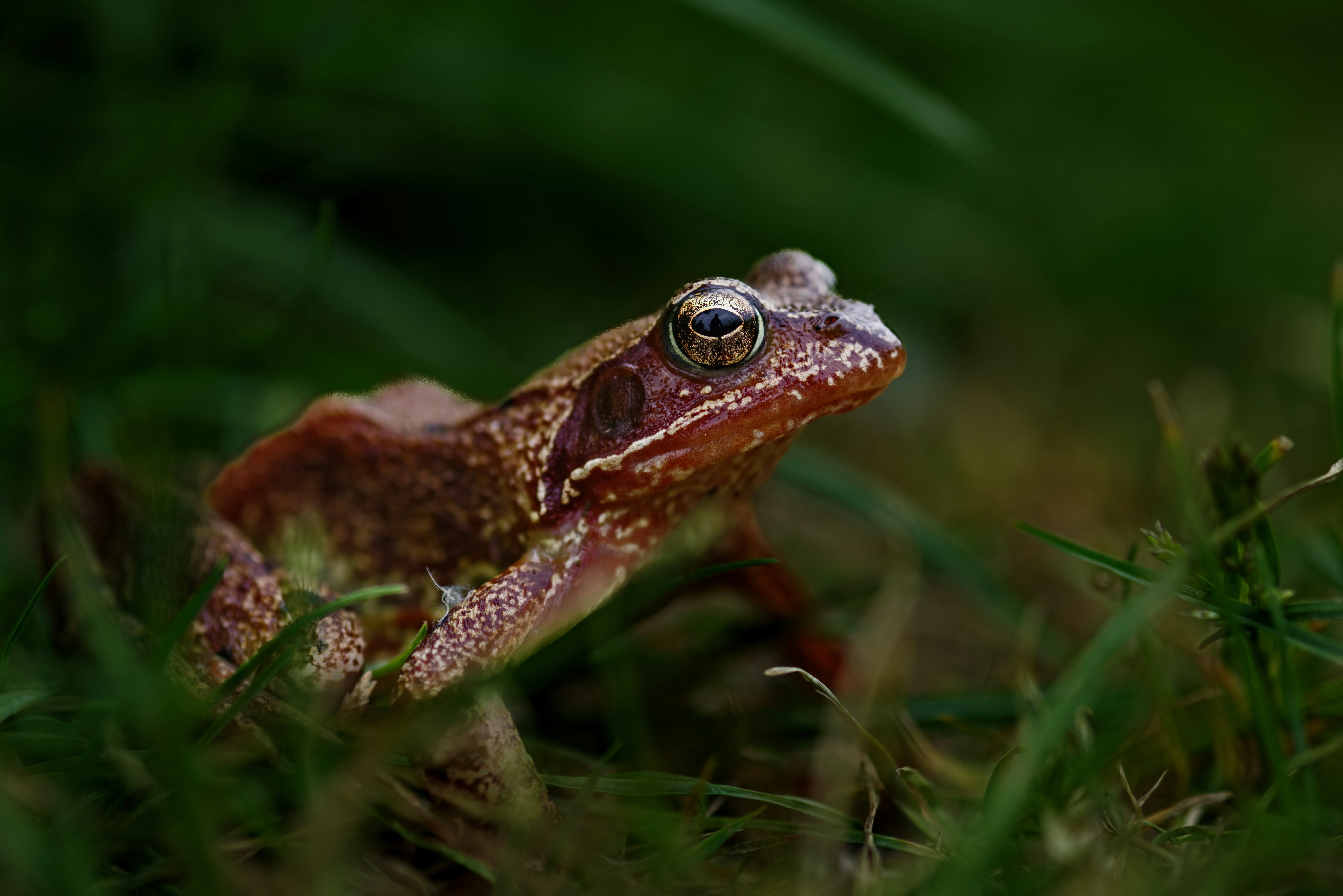 Photo by switch_dtp_fotografie