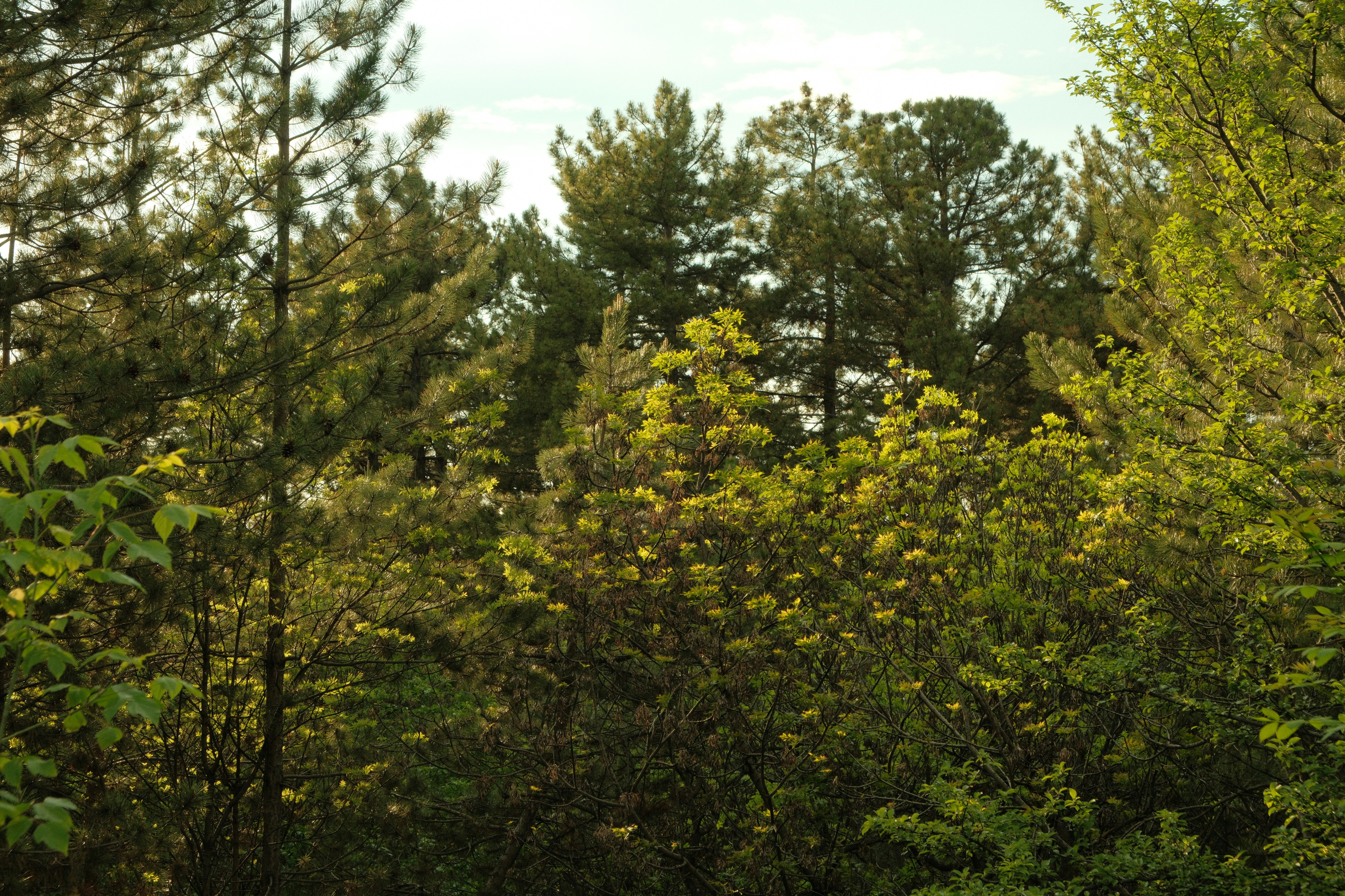 Photo by ismailefetop