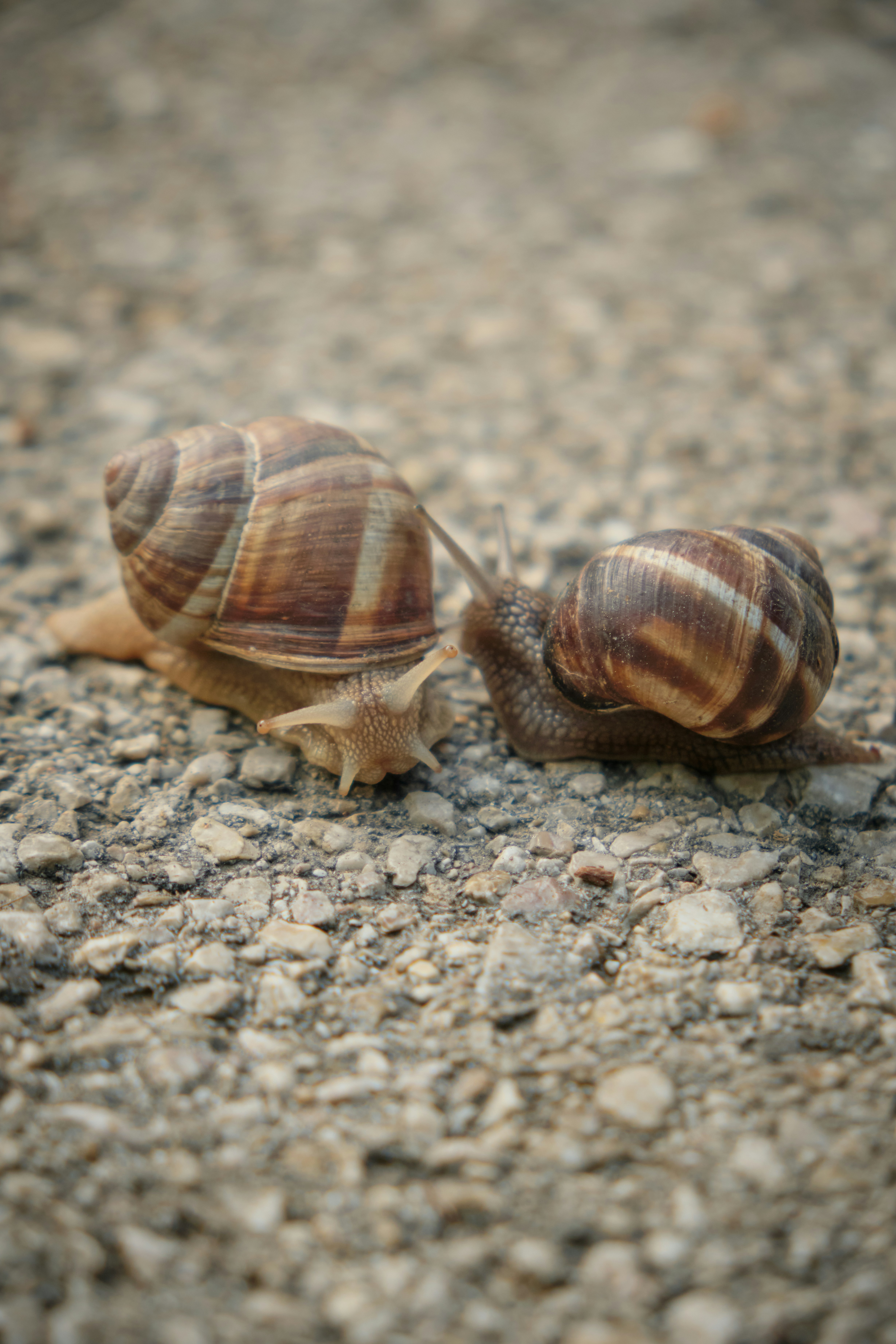 Photo by ismailefetop