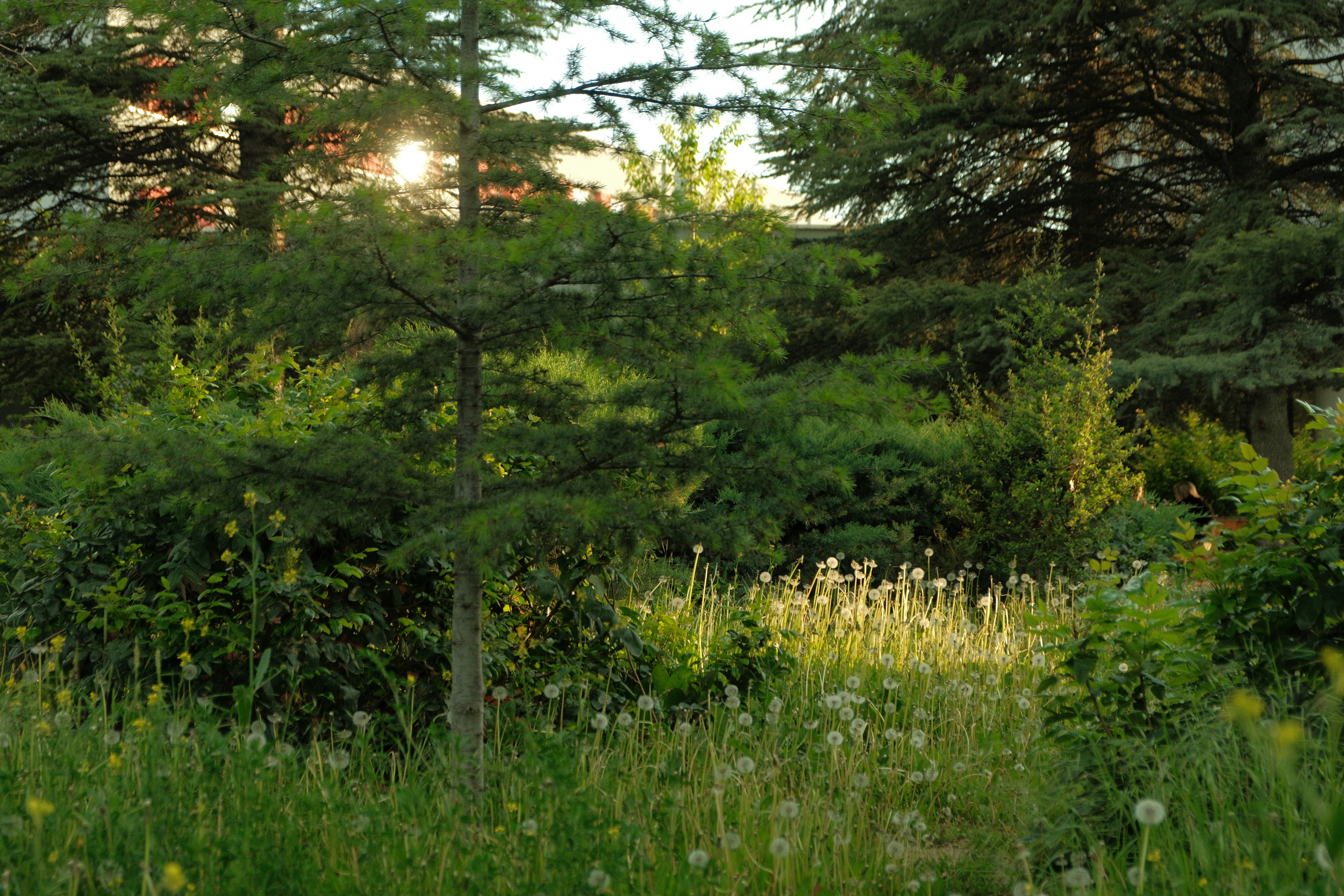 Photo by ismailefetop