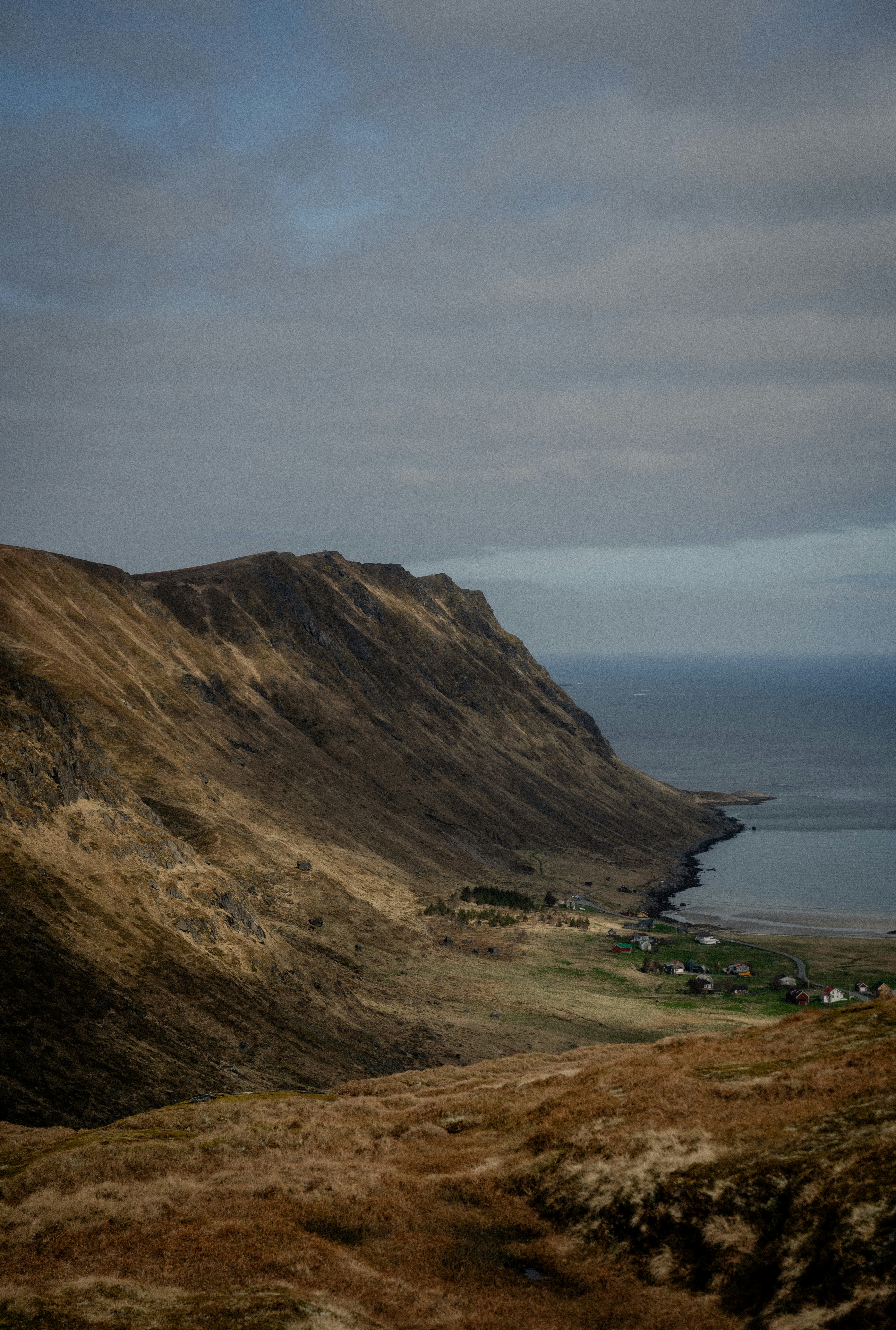 Photo by xandrovandewalle