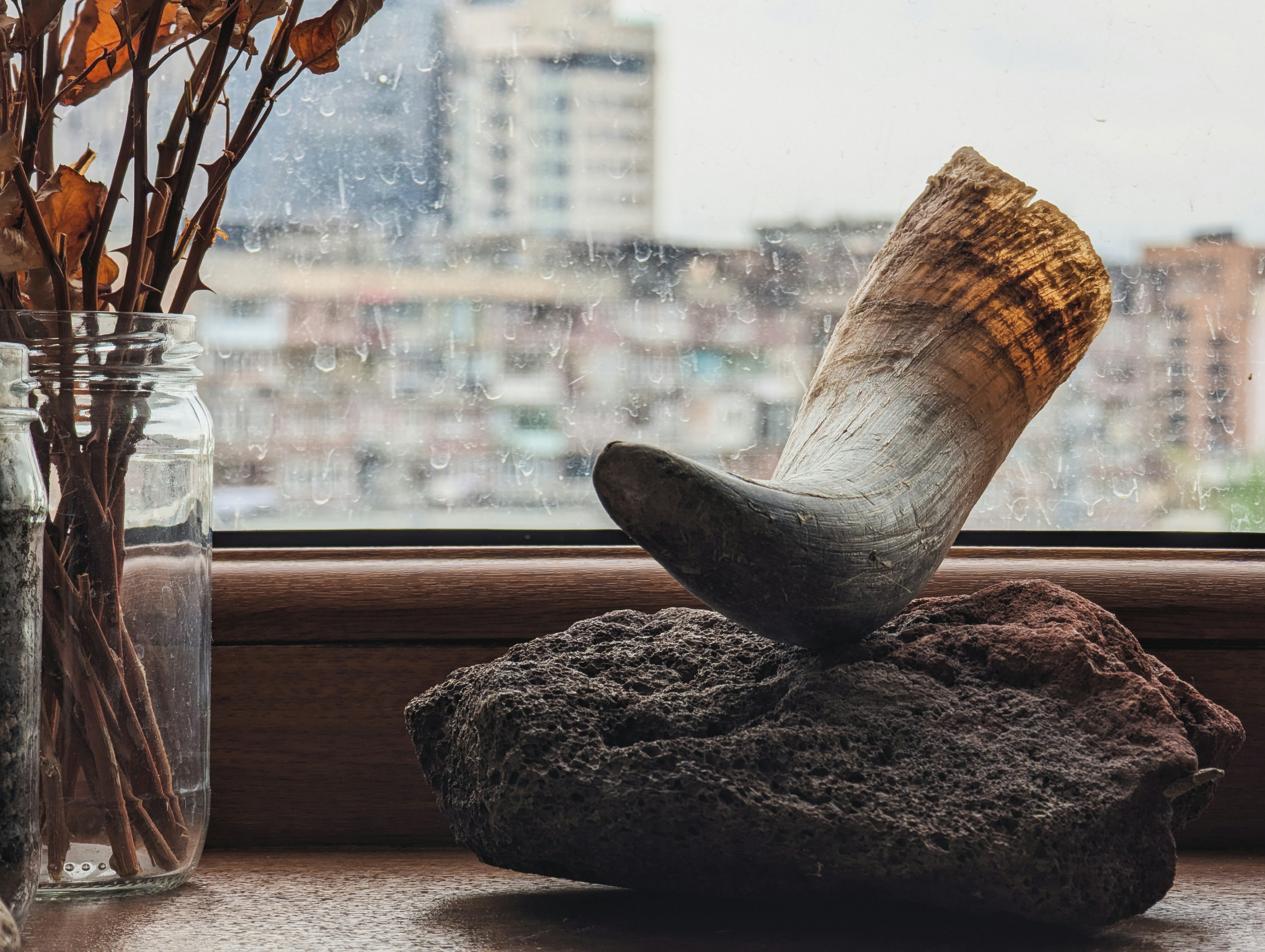 Photo by rafael_ishkhanyan