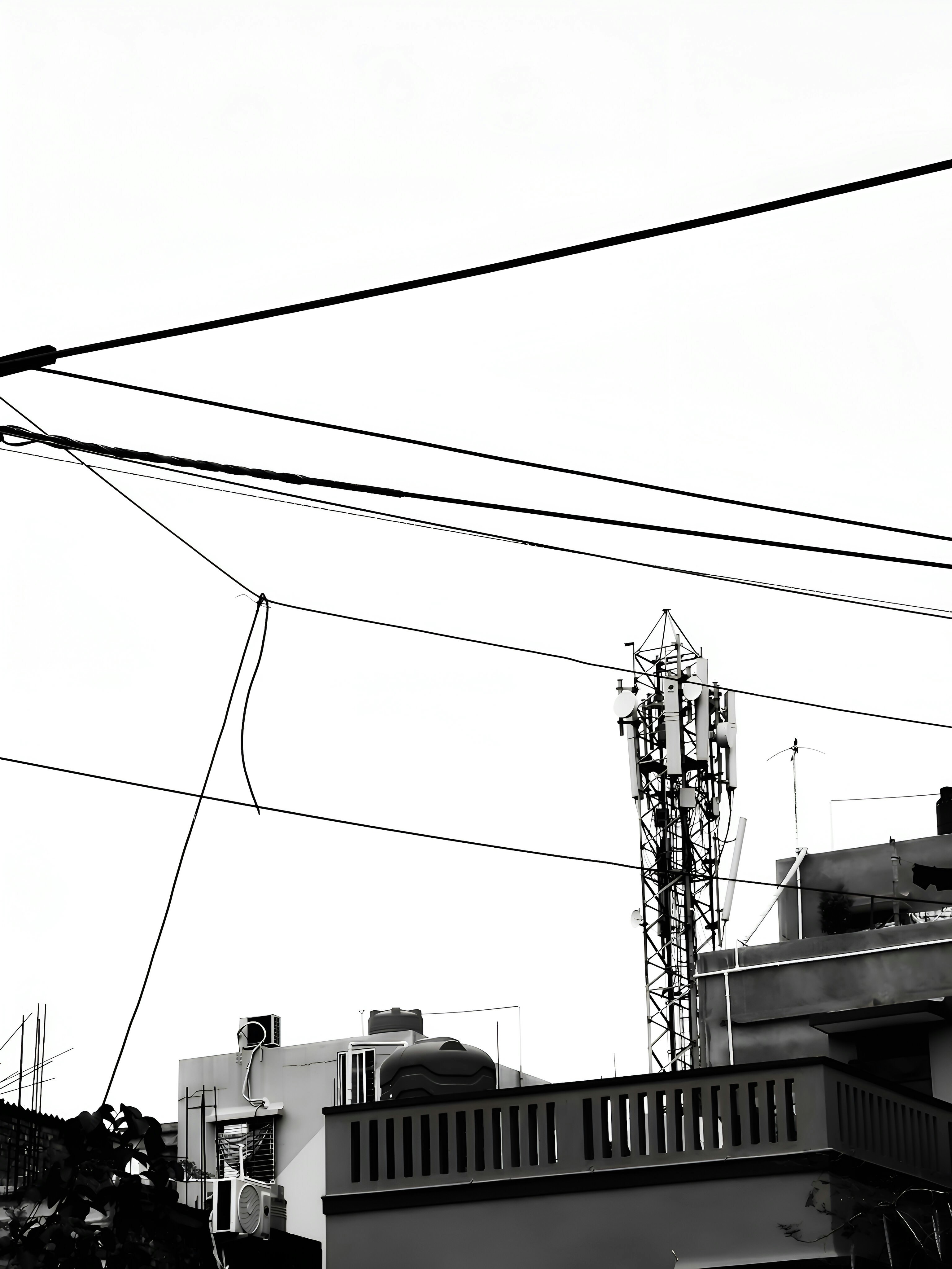 Photo by anubhabroyy