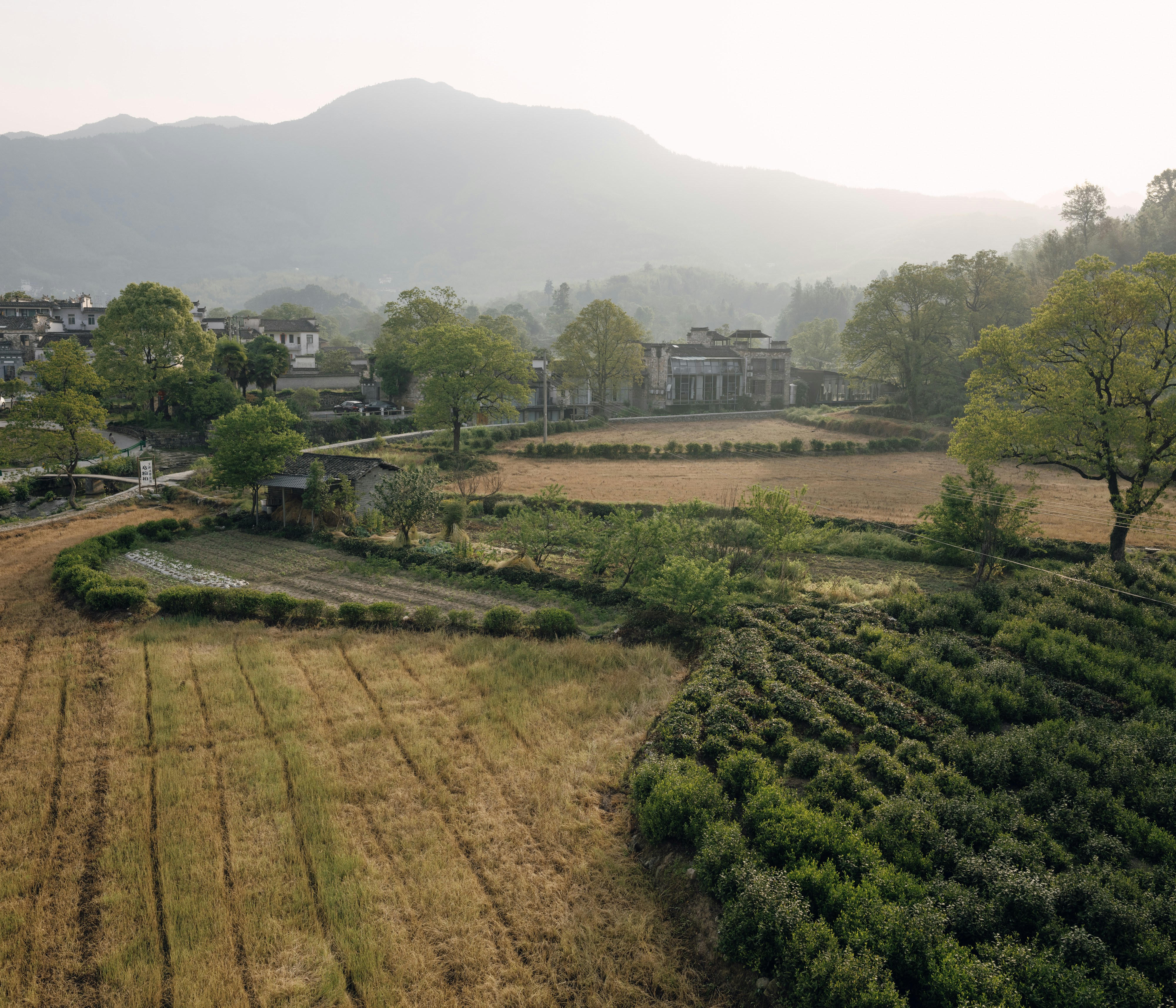 Rural farmland with scenic landscape